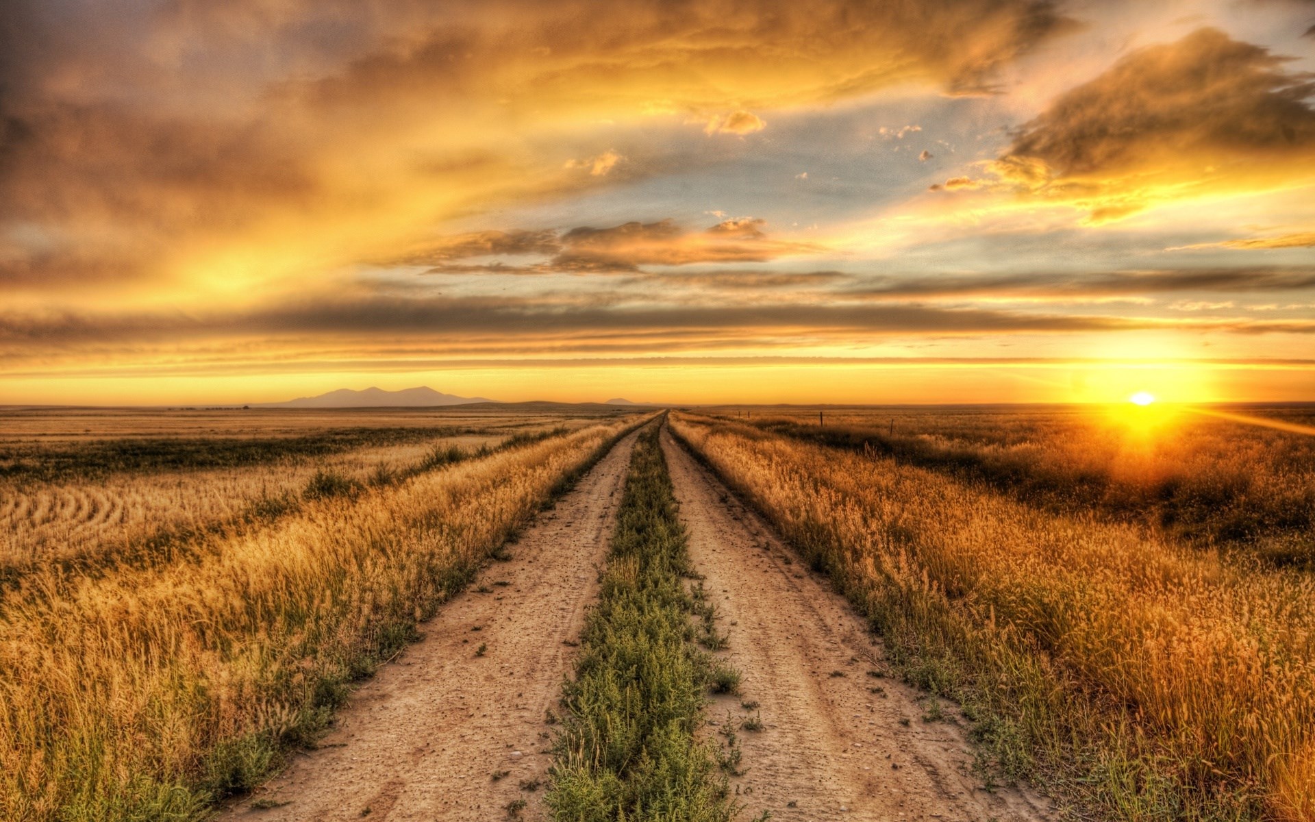 Dirt road through a field at sunset HD Wallpaper