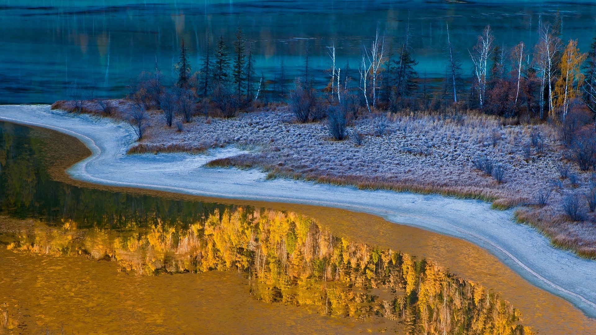 Autumn reflection on a calm lake with trees and frost HD Wallpaper