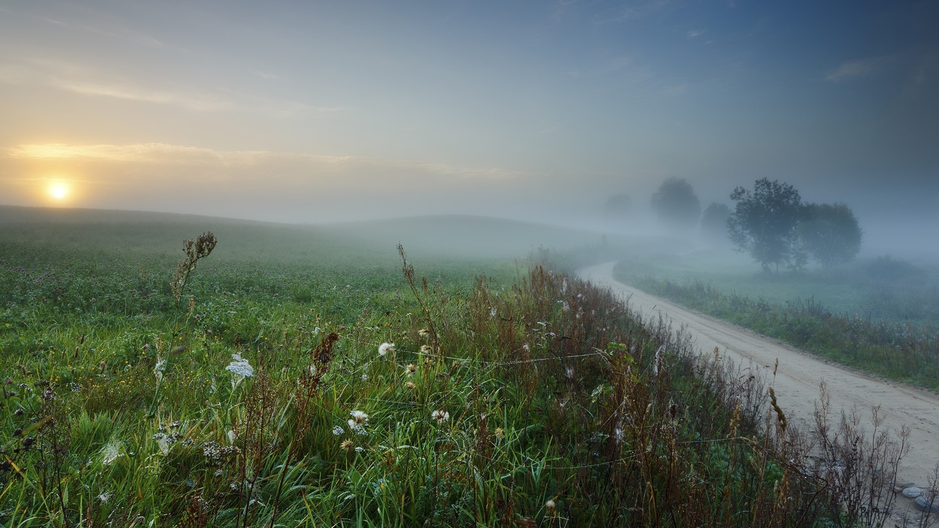 Misty sunrise over a rural landscape with a dirt road HD Wallpaper