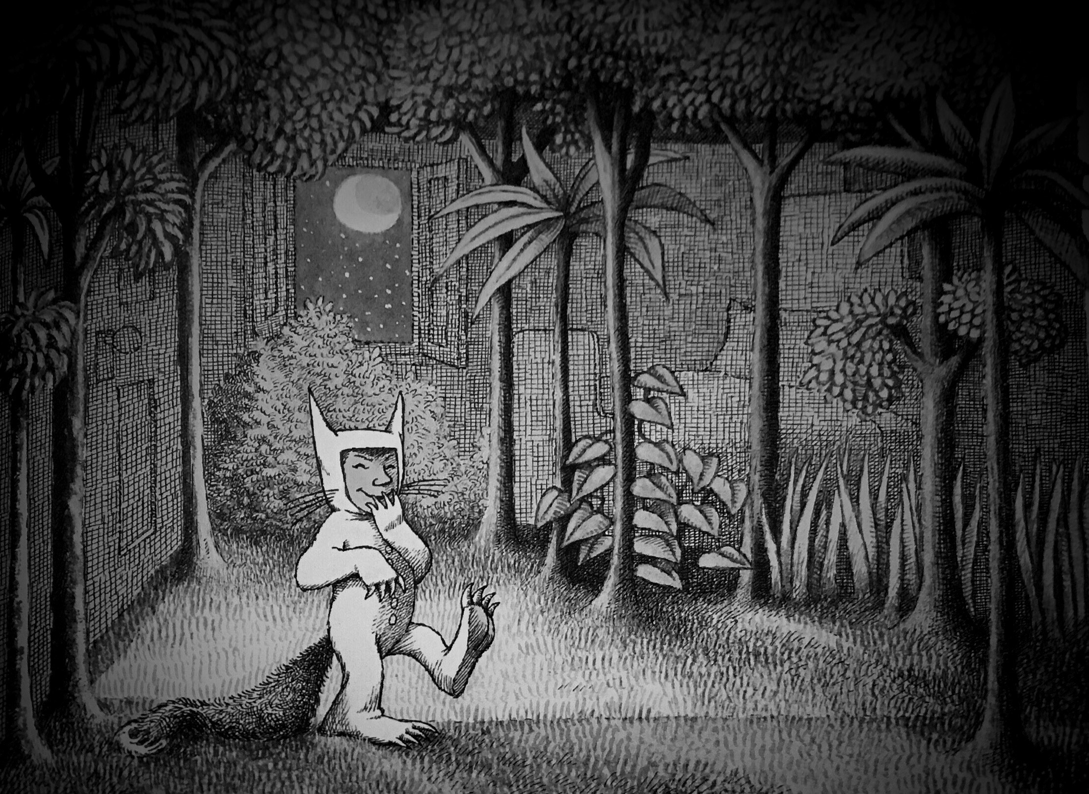 Max from Where the Wild Things Are in a forest HD Wallpaper