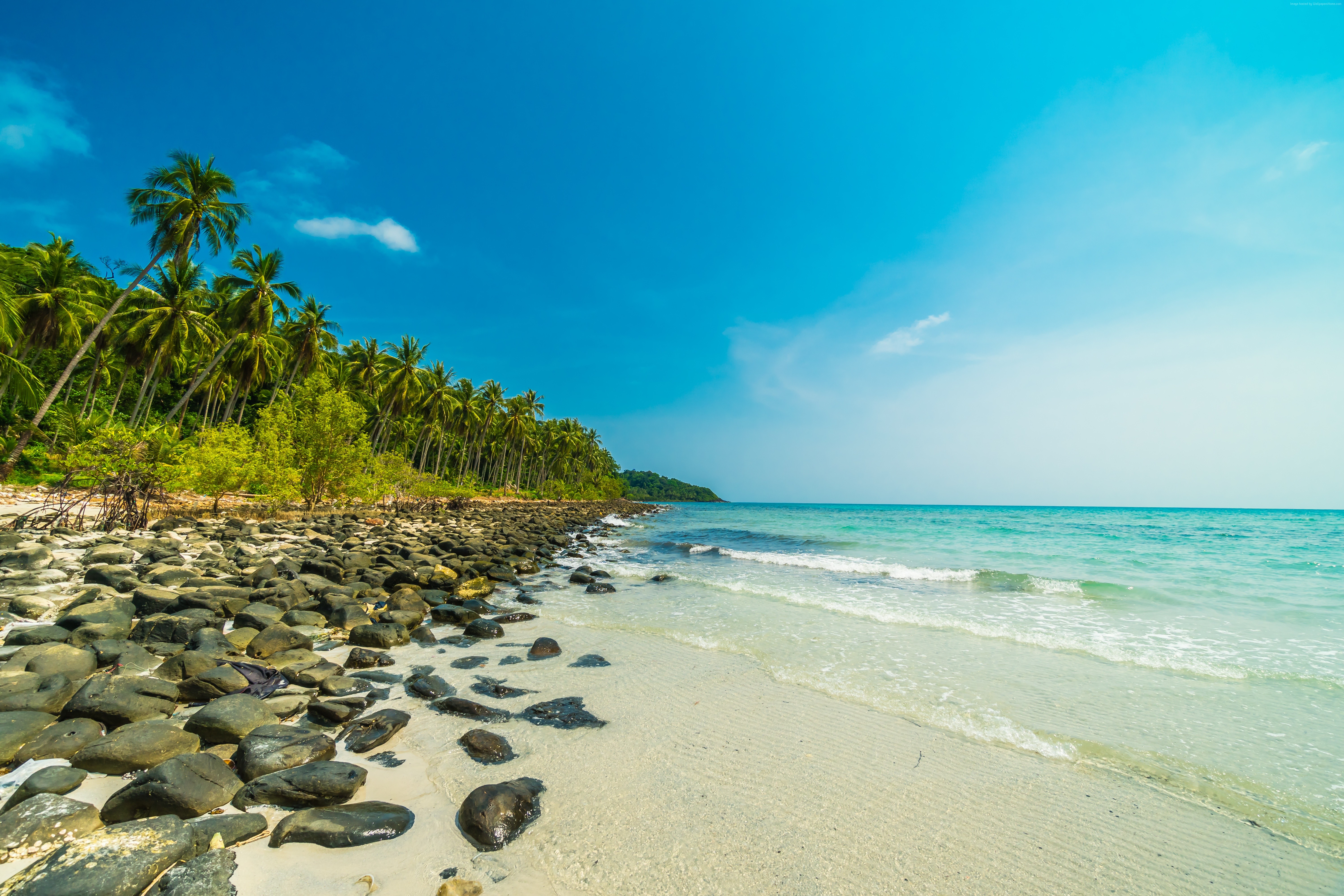 Beach with palm trees and ocean in Thailand HD Wallpaper
