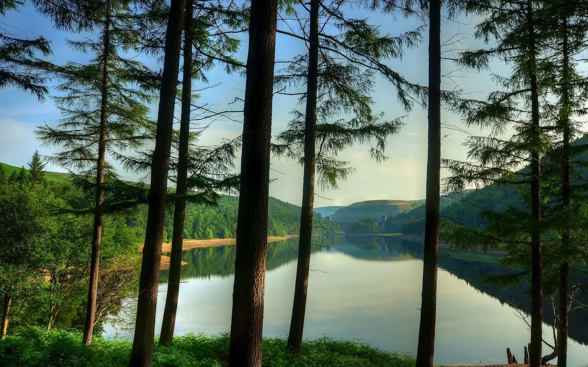 Trees in front of a lake and hills HD Wallpaper