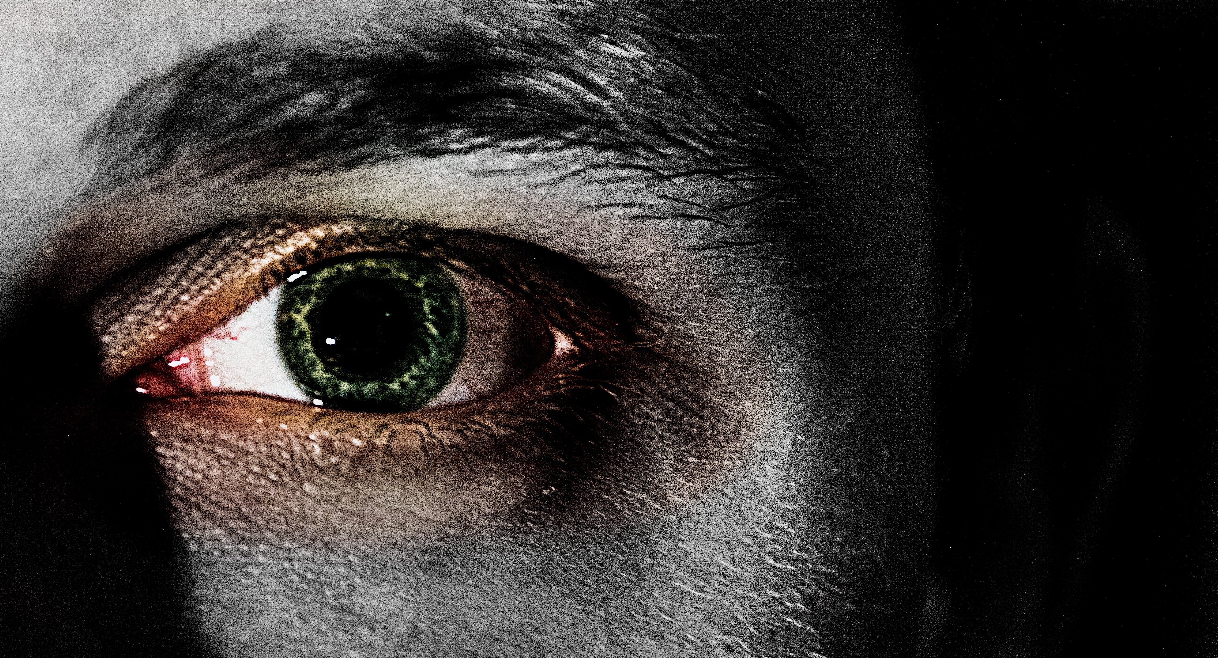Close-up of a human eye with green iris HD Wallpaper