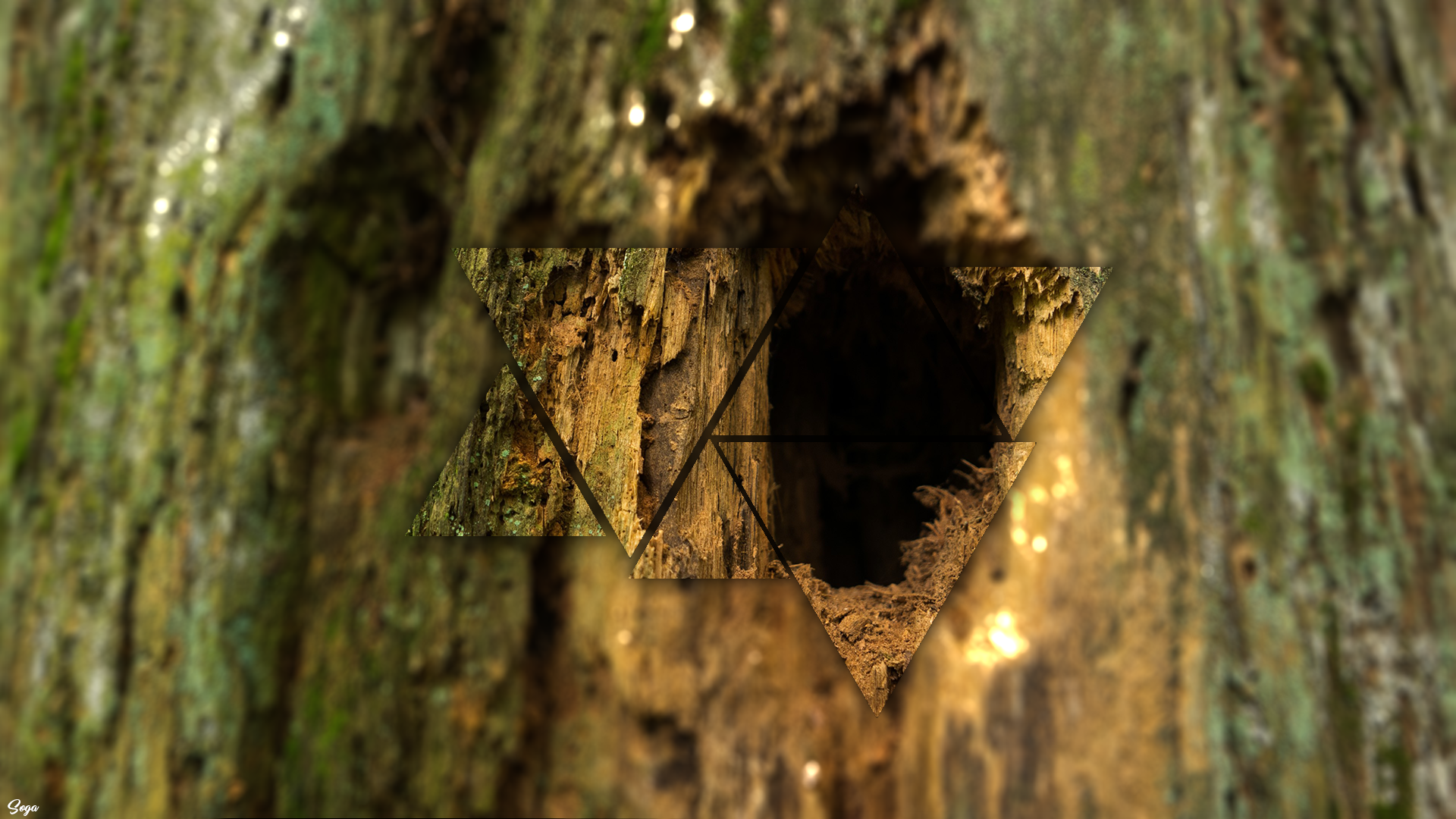 Abstract geometric overlay on tree bark texture HD Wallpaper