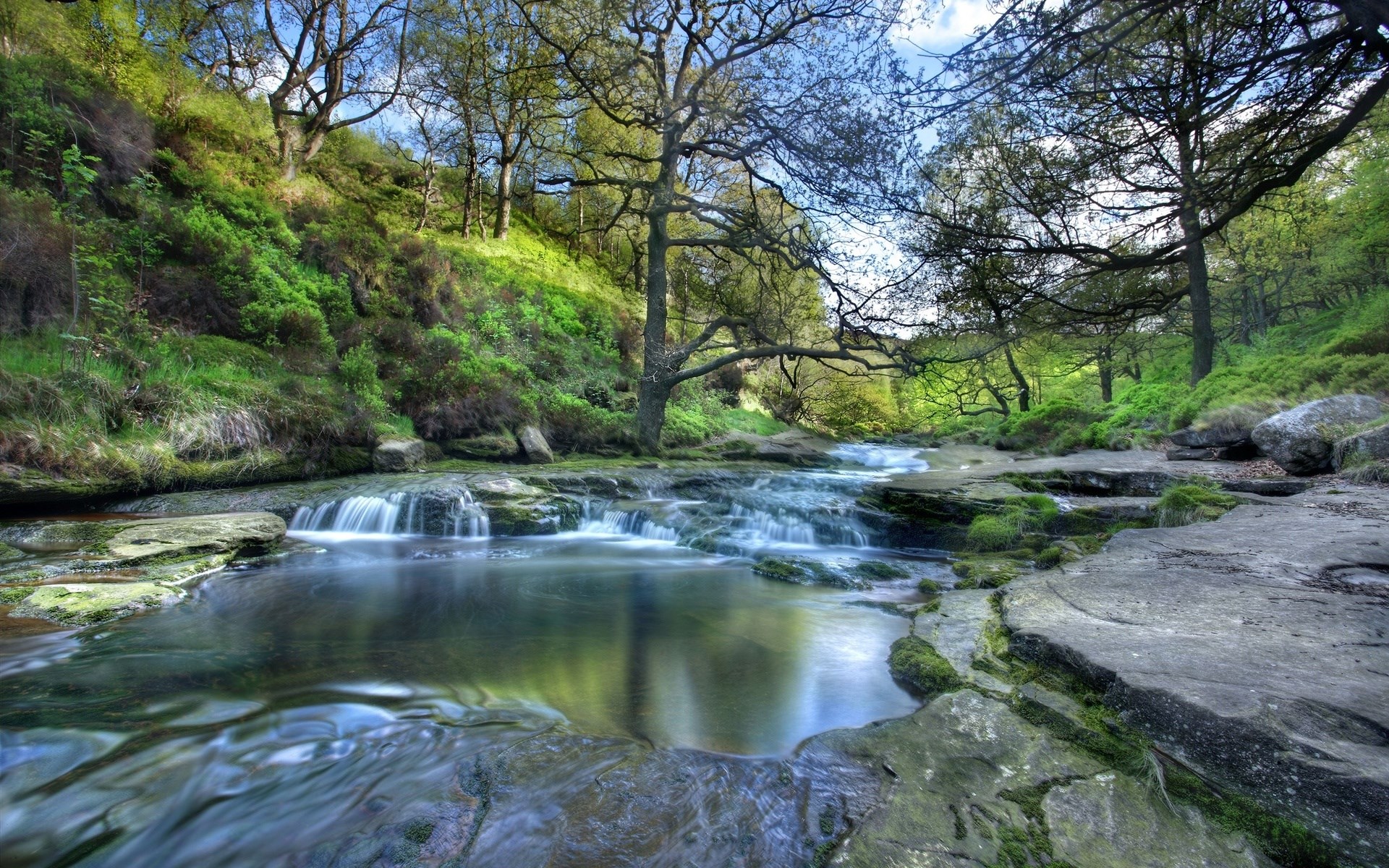 A stream flows through a forest with mossy rocks HD Wallpaper