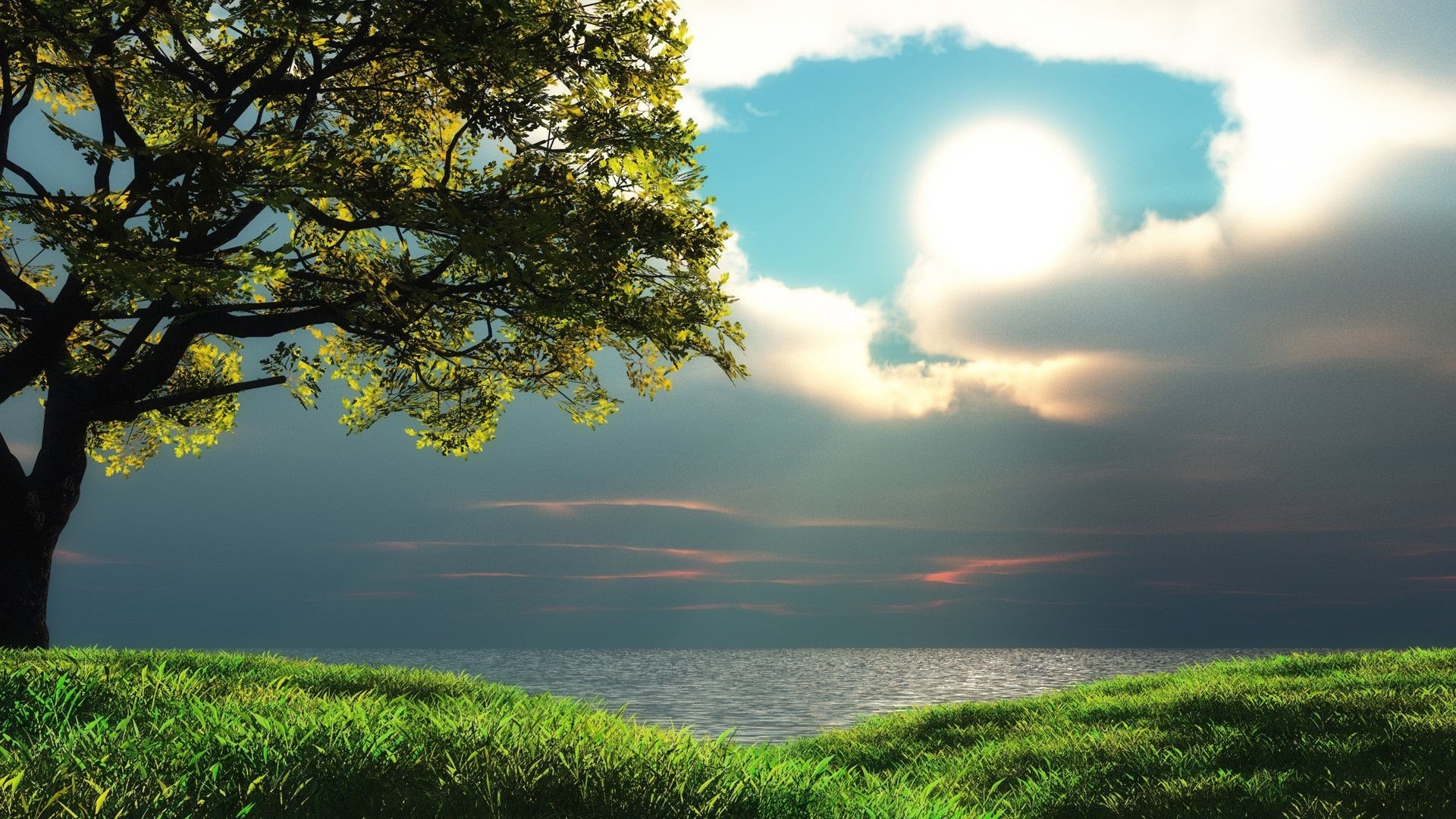 Serene Sunlit Meadow by the Ocean HD Wallpaper