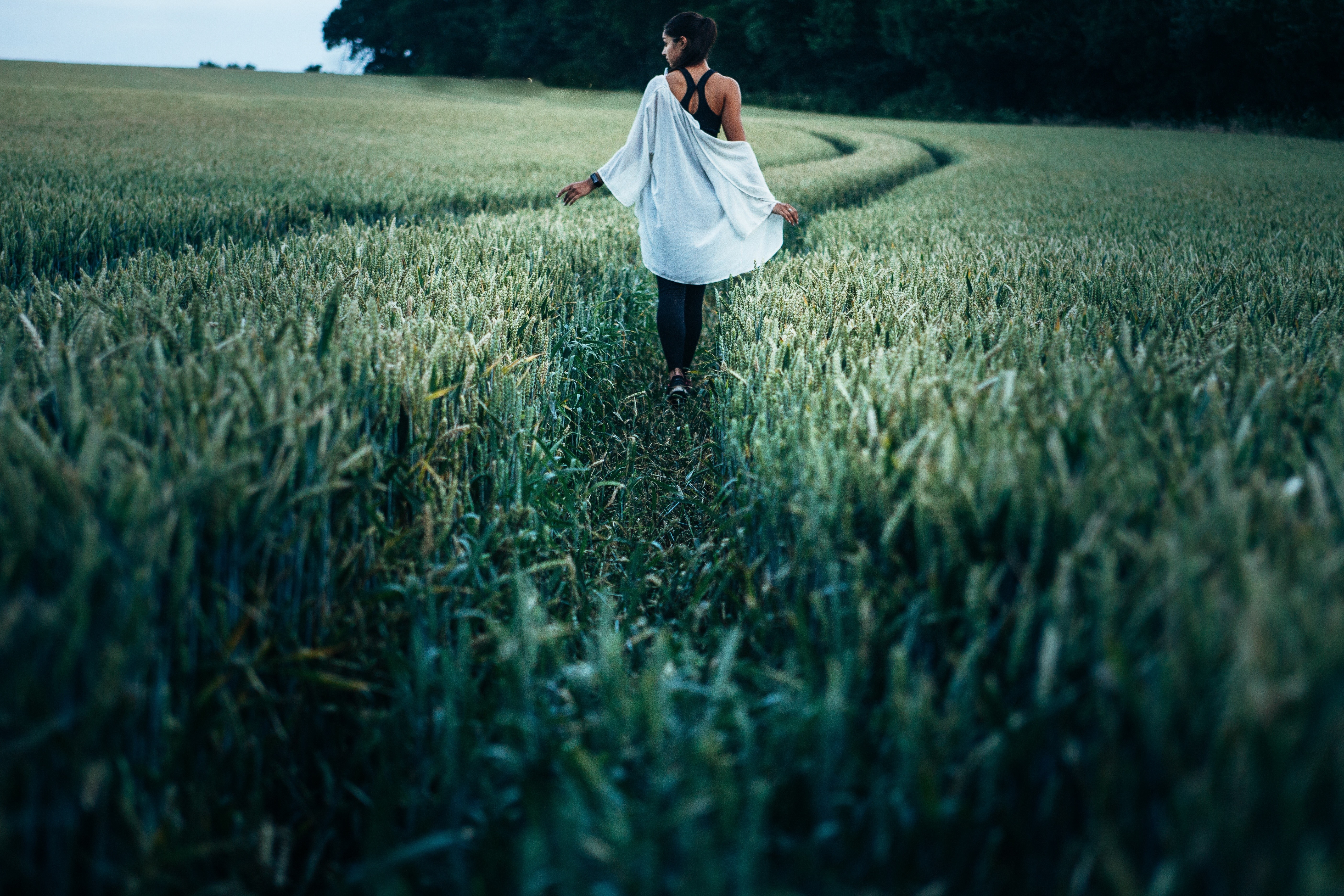 Woman walking through a wheat field at dusk HD Wallpaper