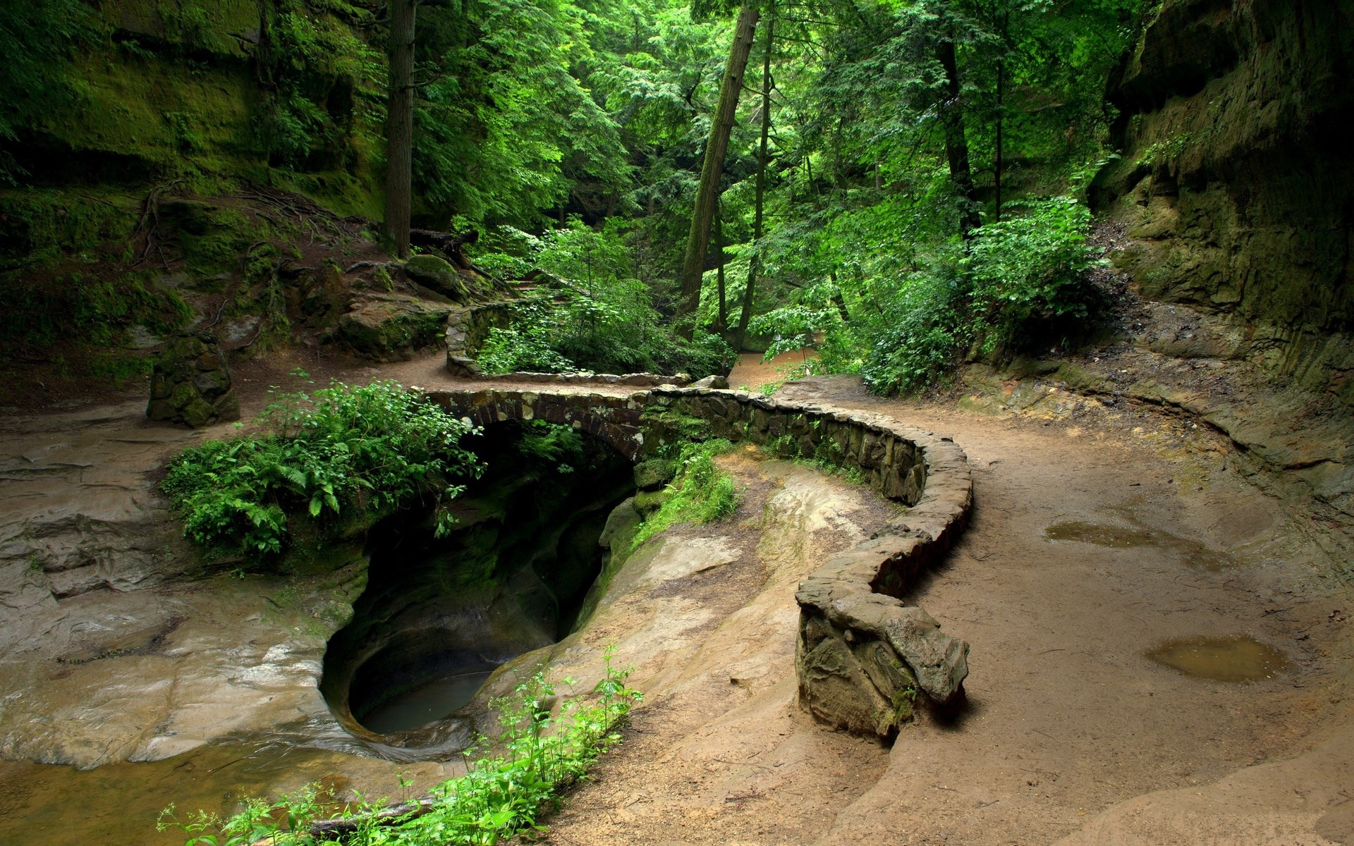 Stone bridge over a gorge in a forest HD Wallpaper