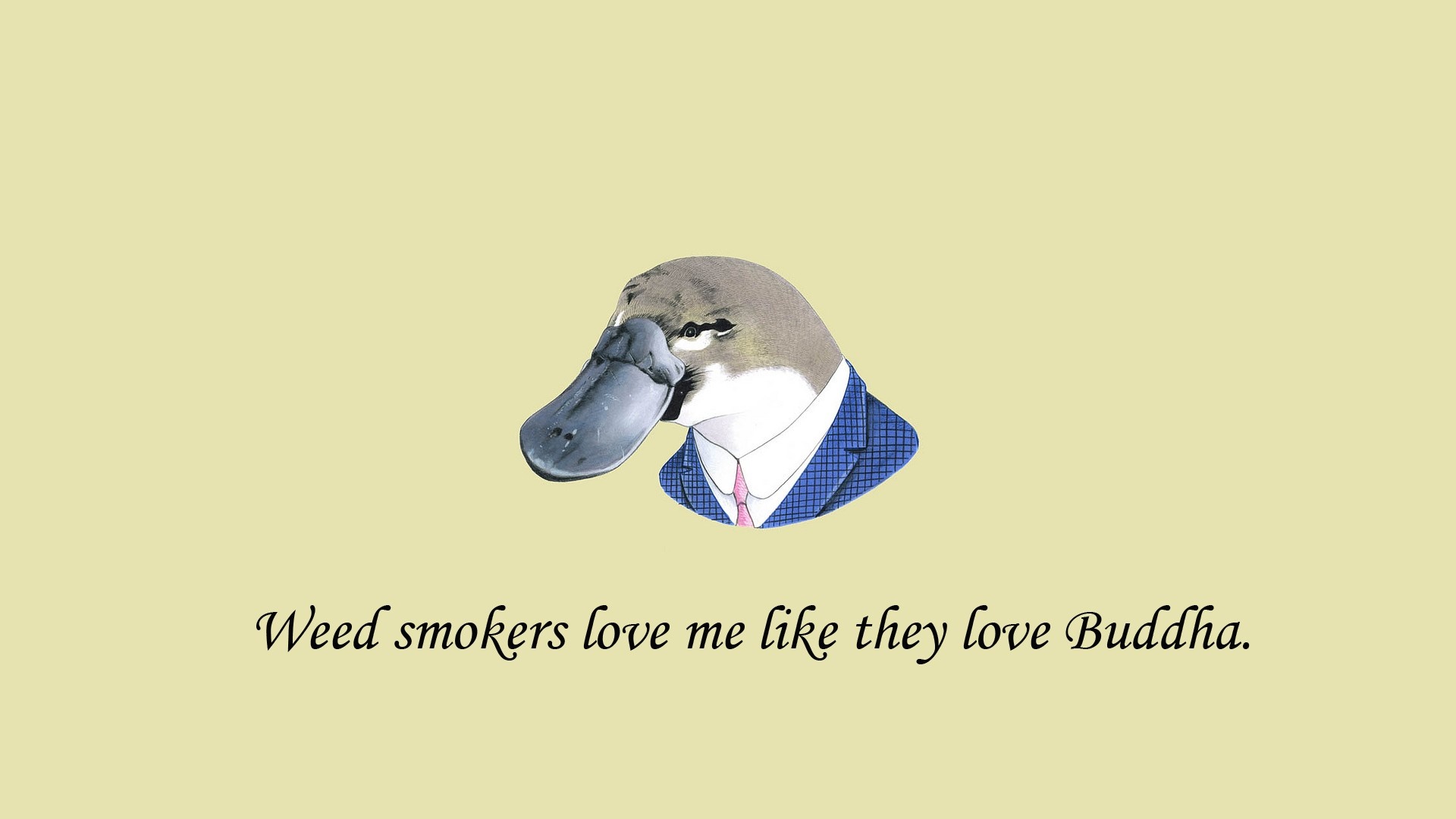 Platypus in a suit with text HD Wallpaper