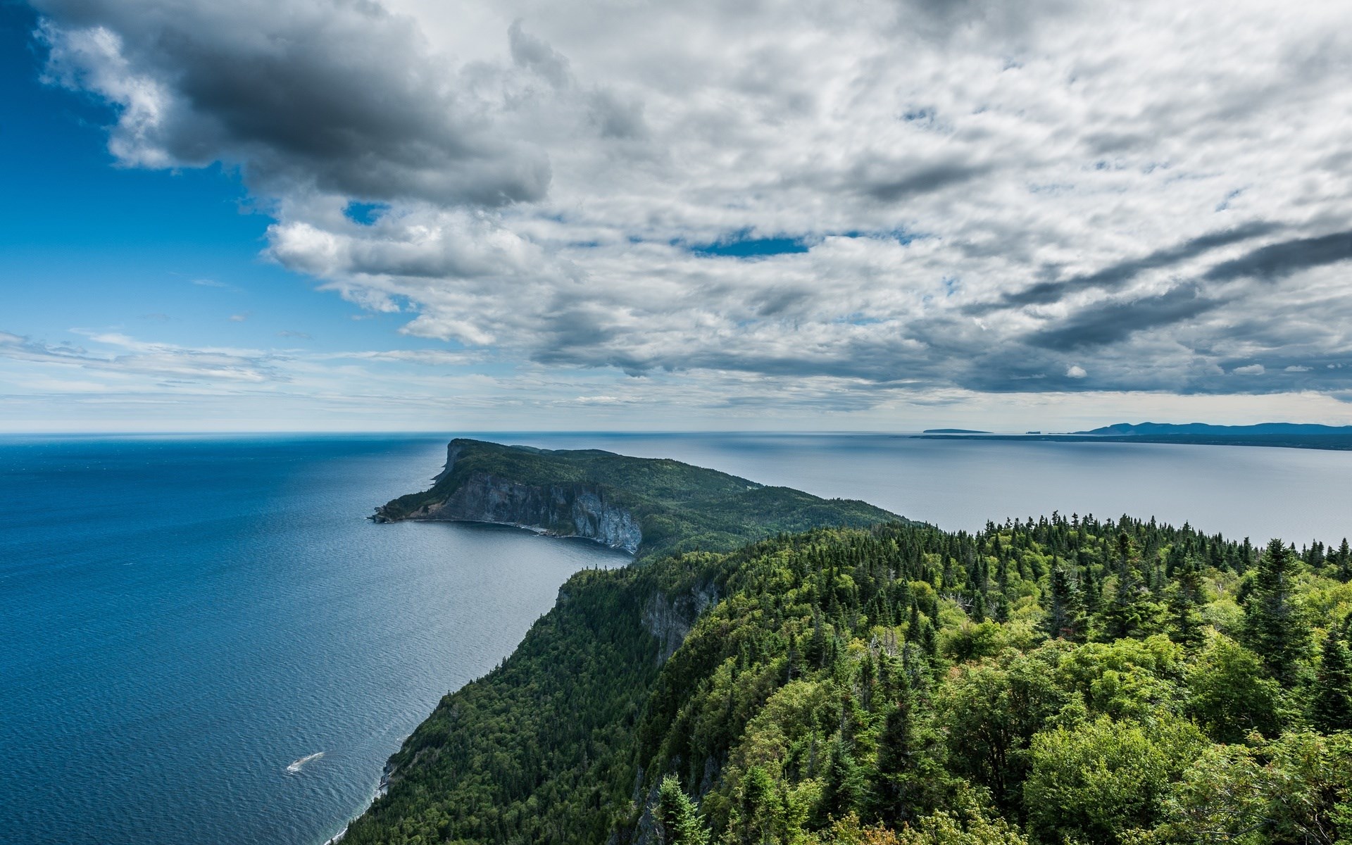 Coastal cliffs and forest overlooking the ocean HD Wallpaper