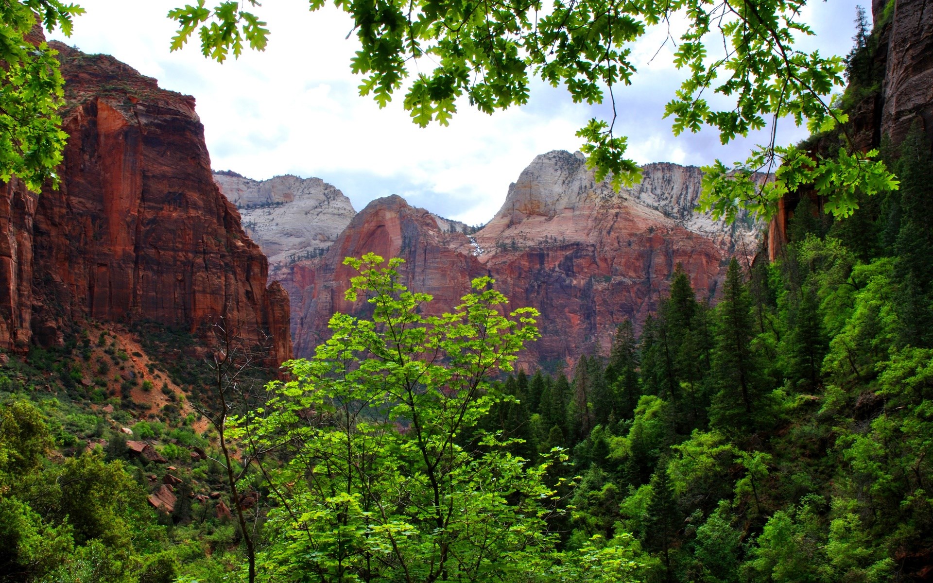 Red rock mountains and green forest under cloudy sky HD Wallpaper