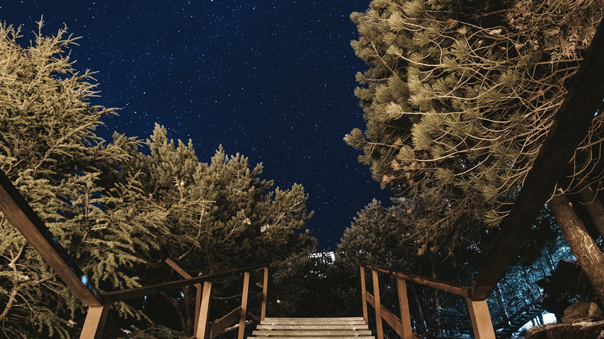 Wooden stairs under a starry night sky with trees HD Wallpaper