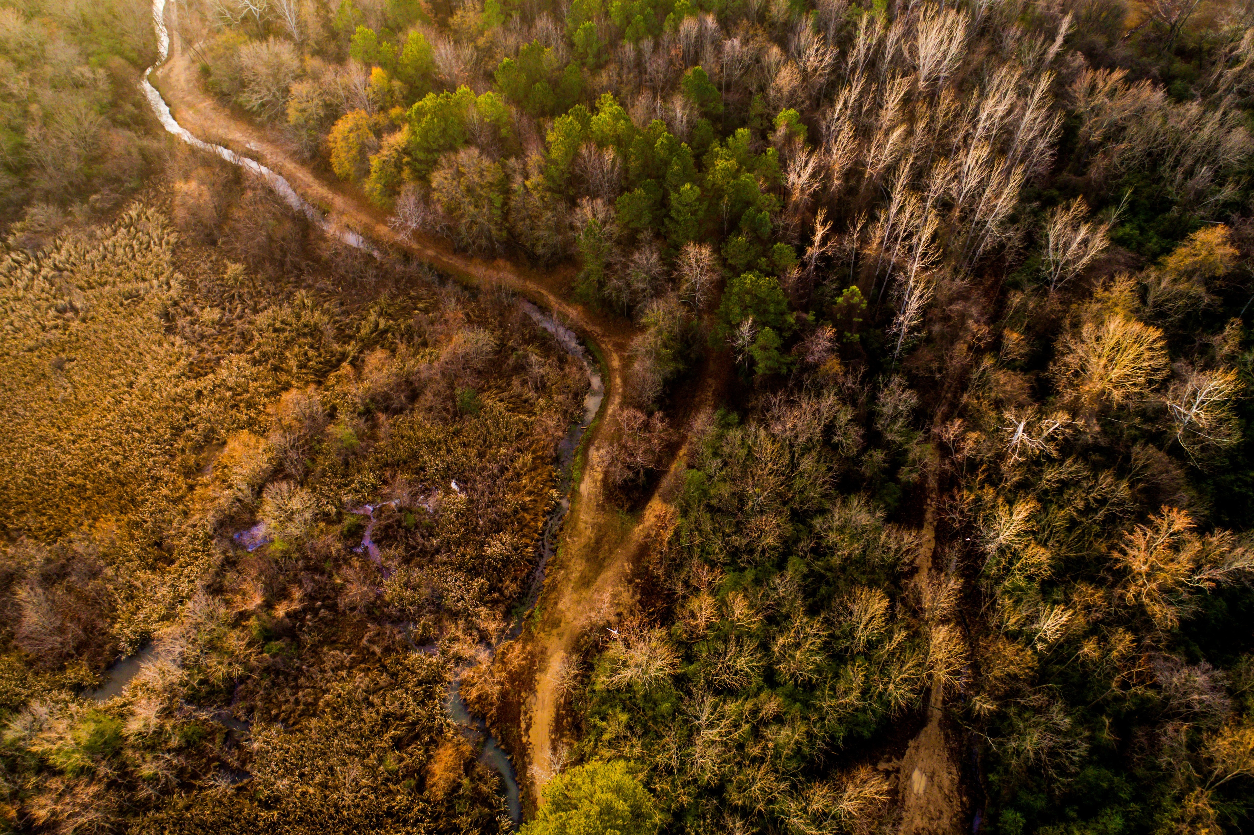 Aerial view of a winding path through autumn forest and marshland HD Wallpaper