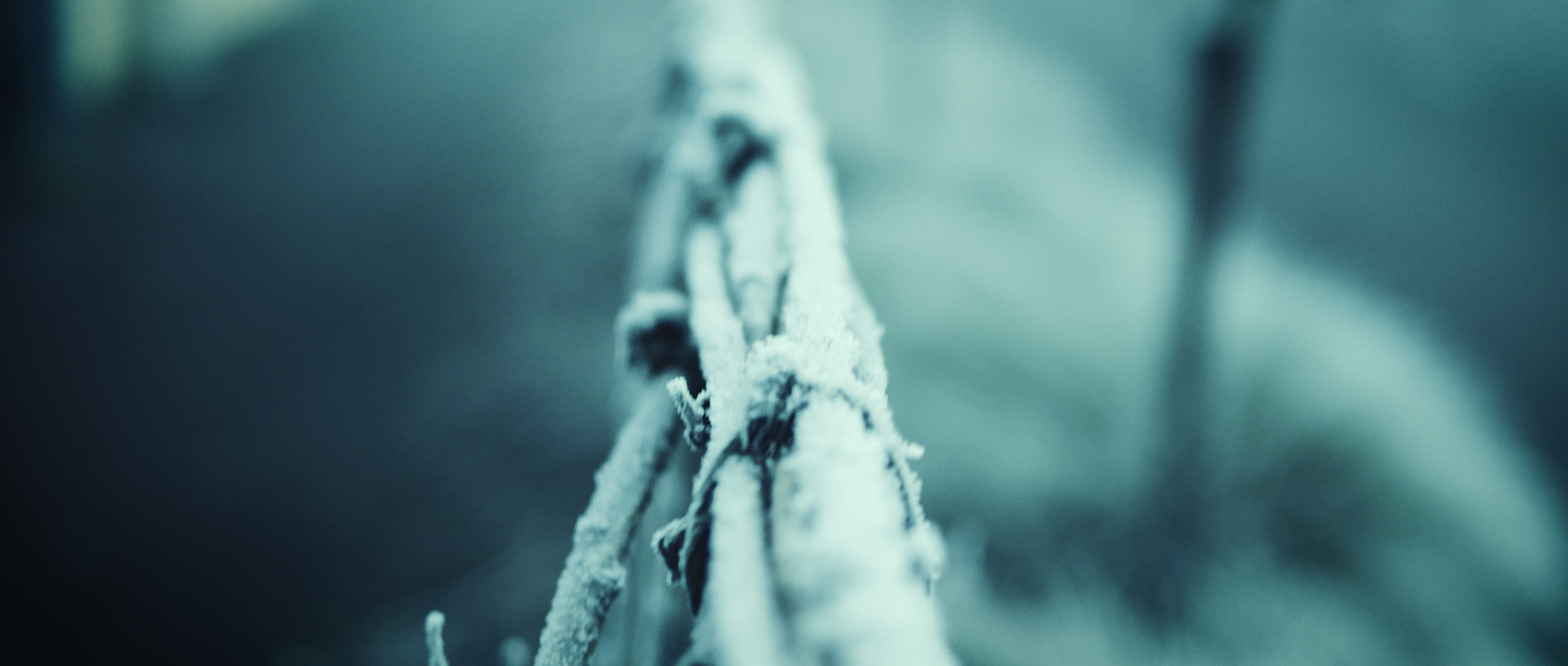 Close-up of frozen rope with frost and ice HD Wallpaper