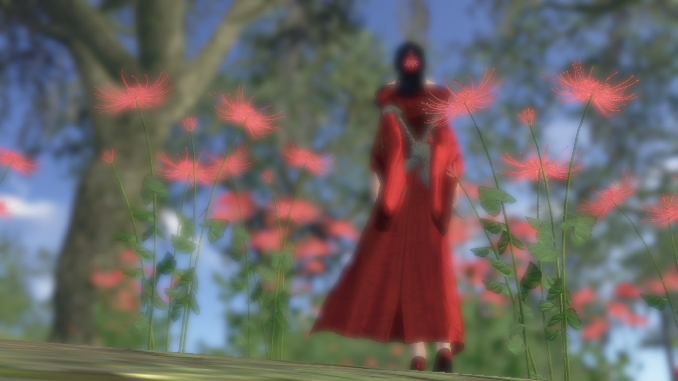 Person in red dress among red spider lilies HD Wallpaper
