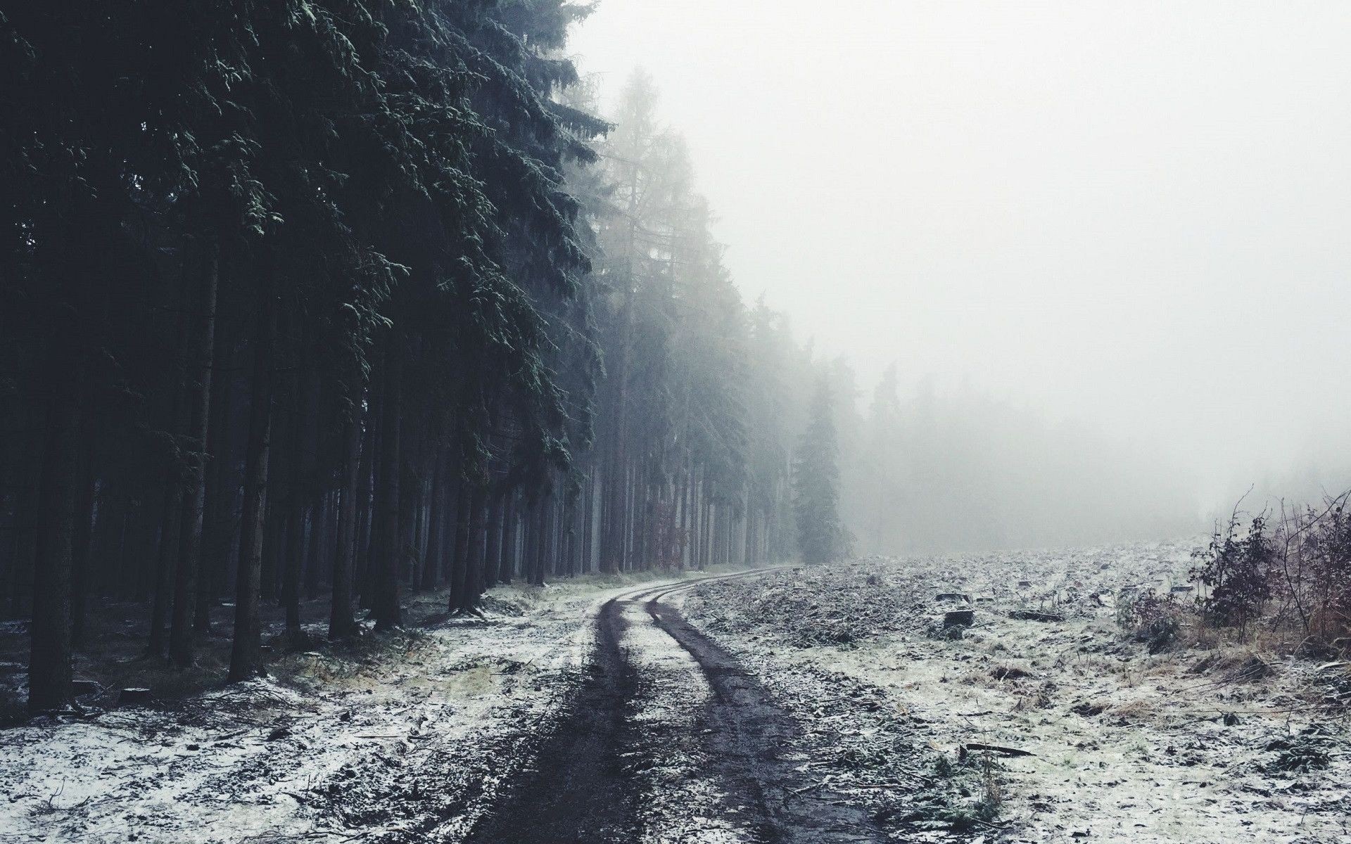 Winding dirt road through a foggy winter forest HD Wallpaper