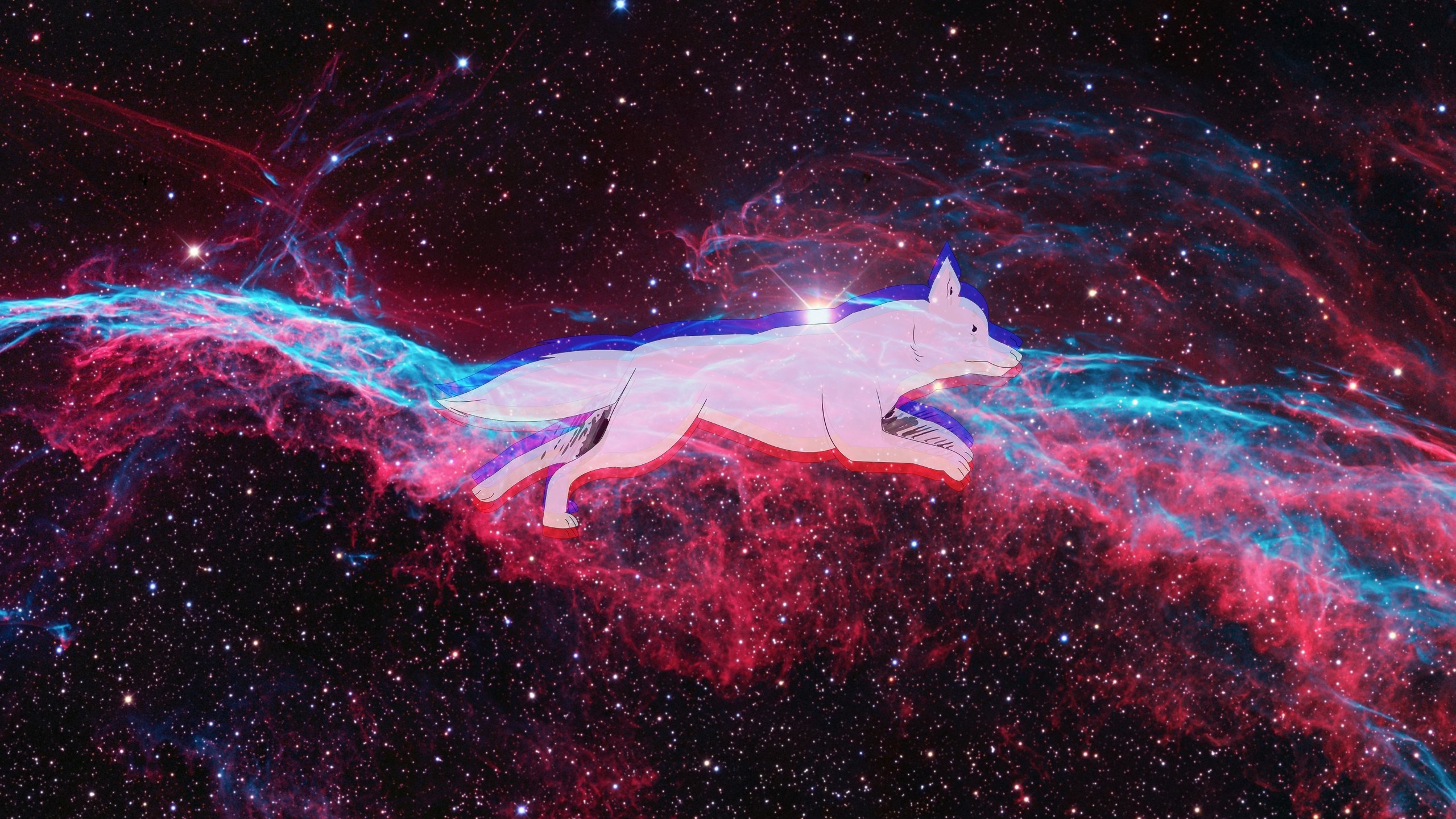White fox in front of the Veil Nebula HD Wallpaper