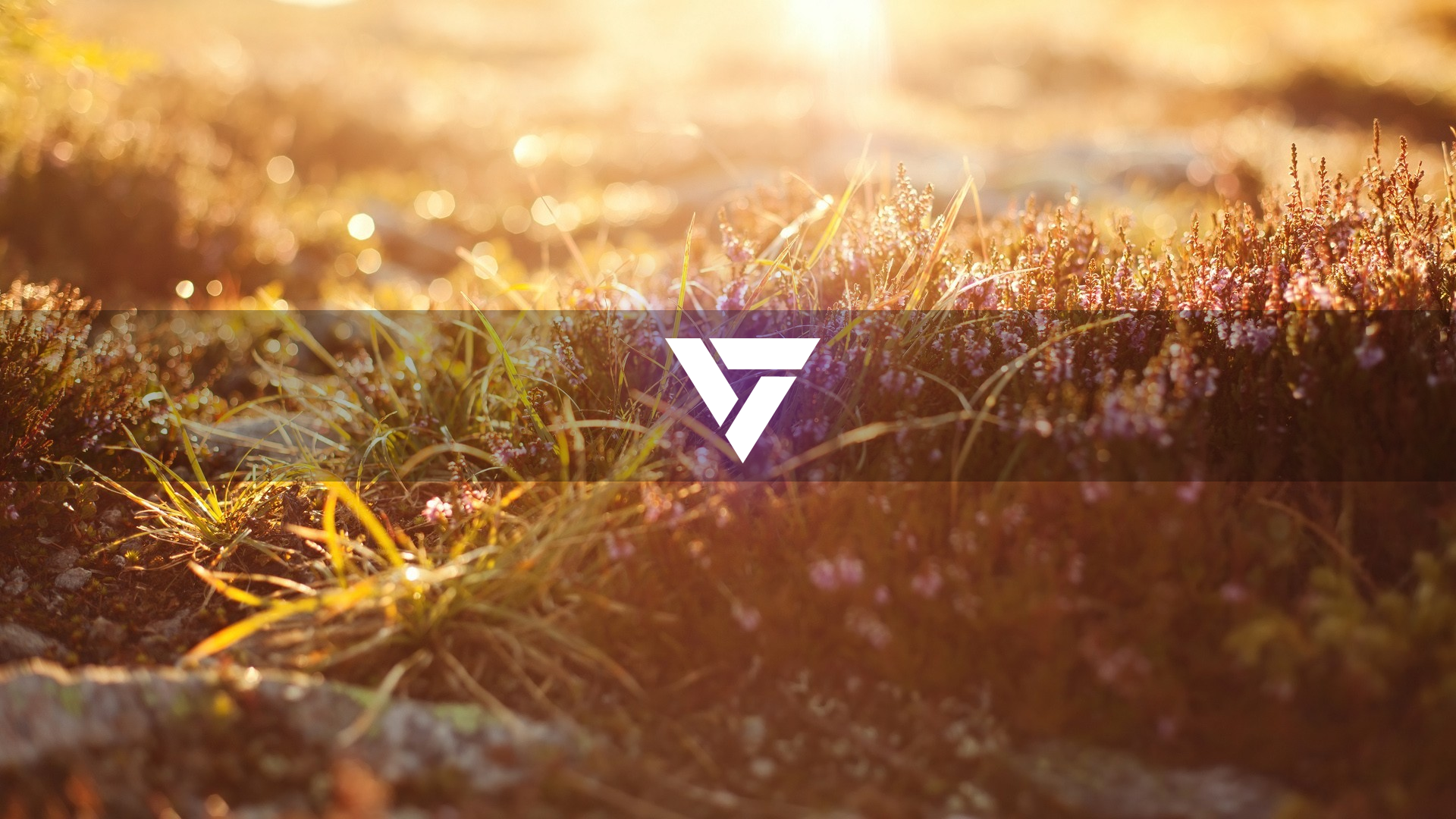 Onih Entertainment logo over nature scene HD Wallpaper