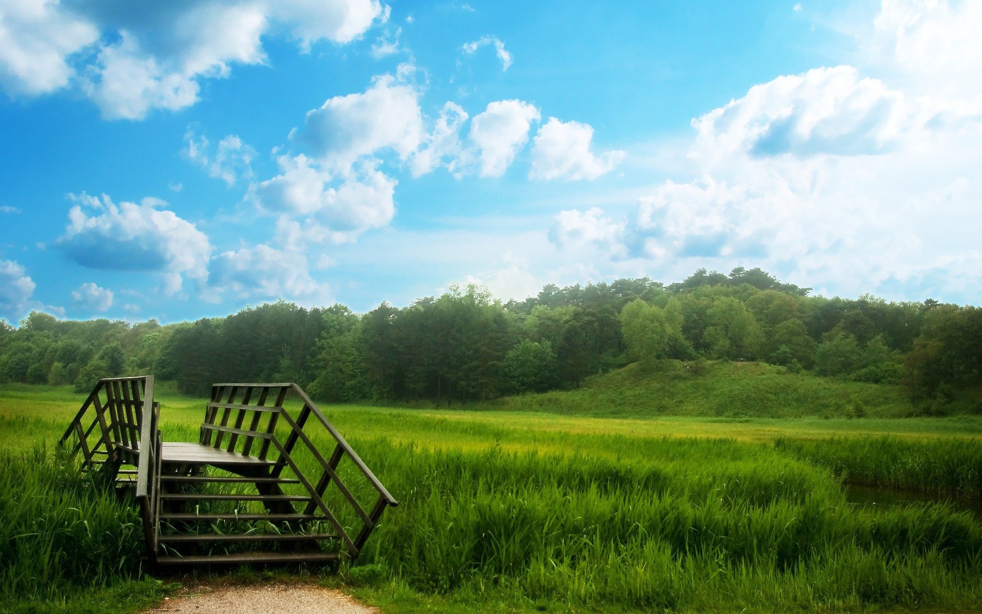 Wooden bridge over a grassy field with trees and sky HD Wallpaper