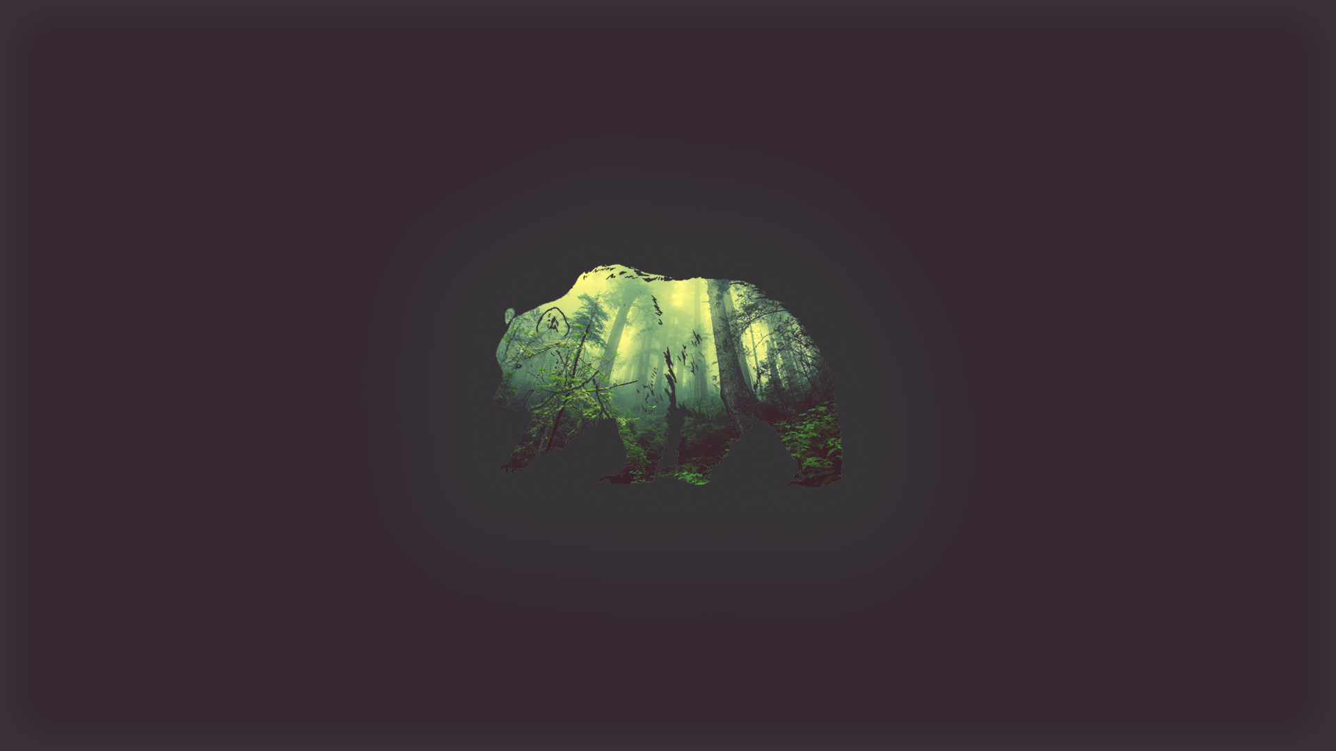 Bear silhouette filled with a forest illustration HD Wallpaper