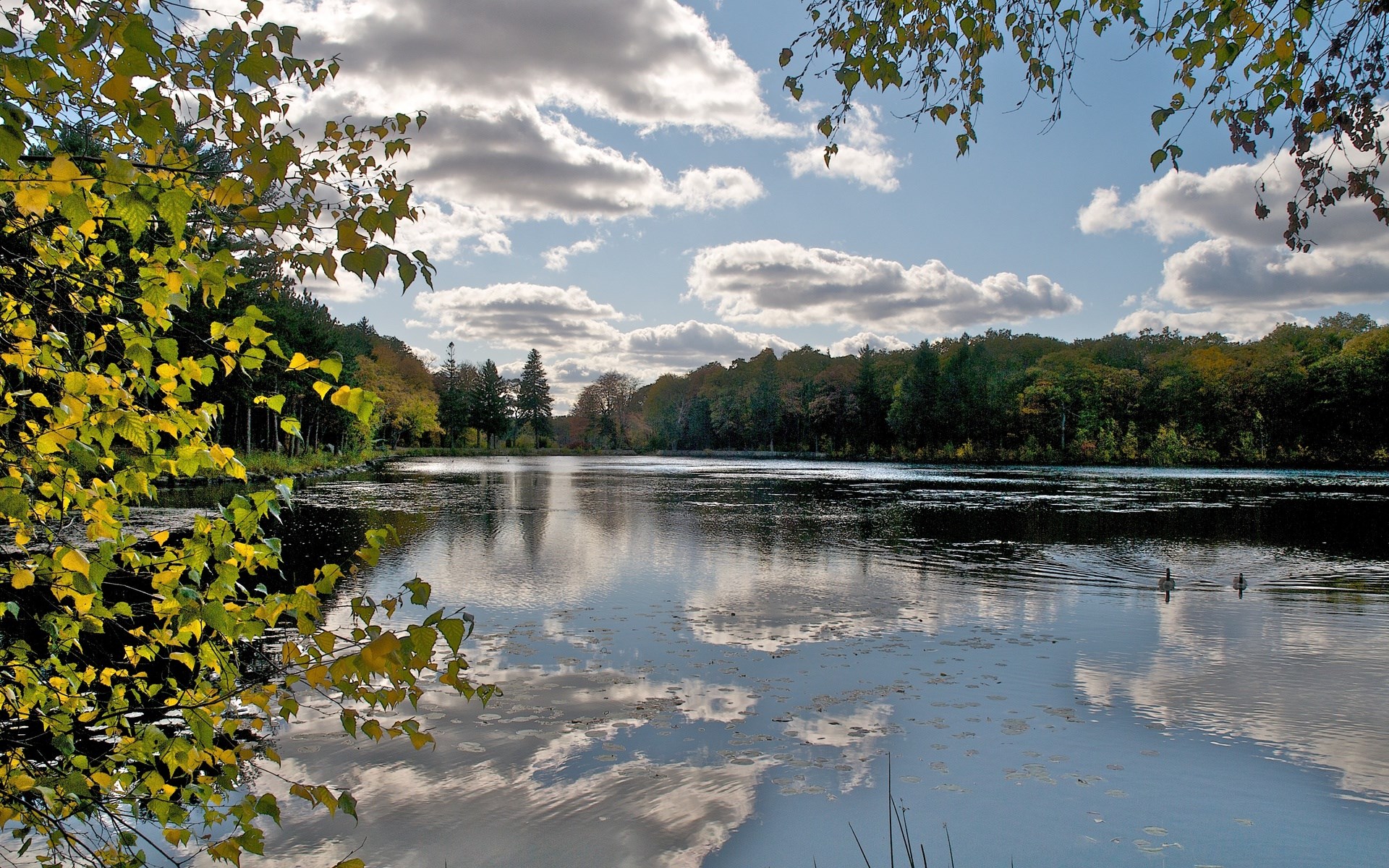 Lake surrounded by trees with autumn foliage and cloudy sky HD Wallpaper
