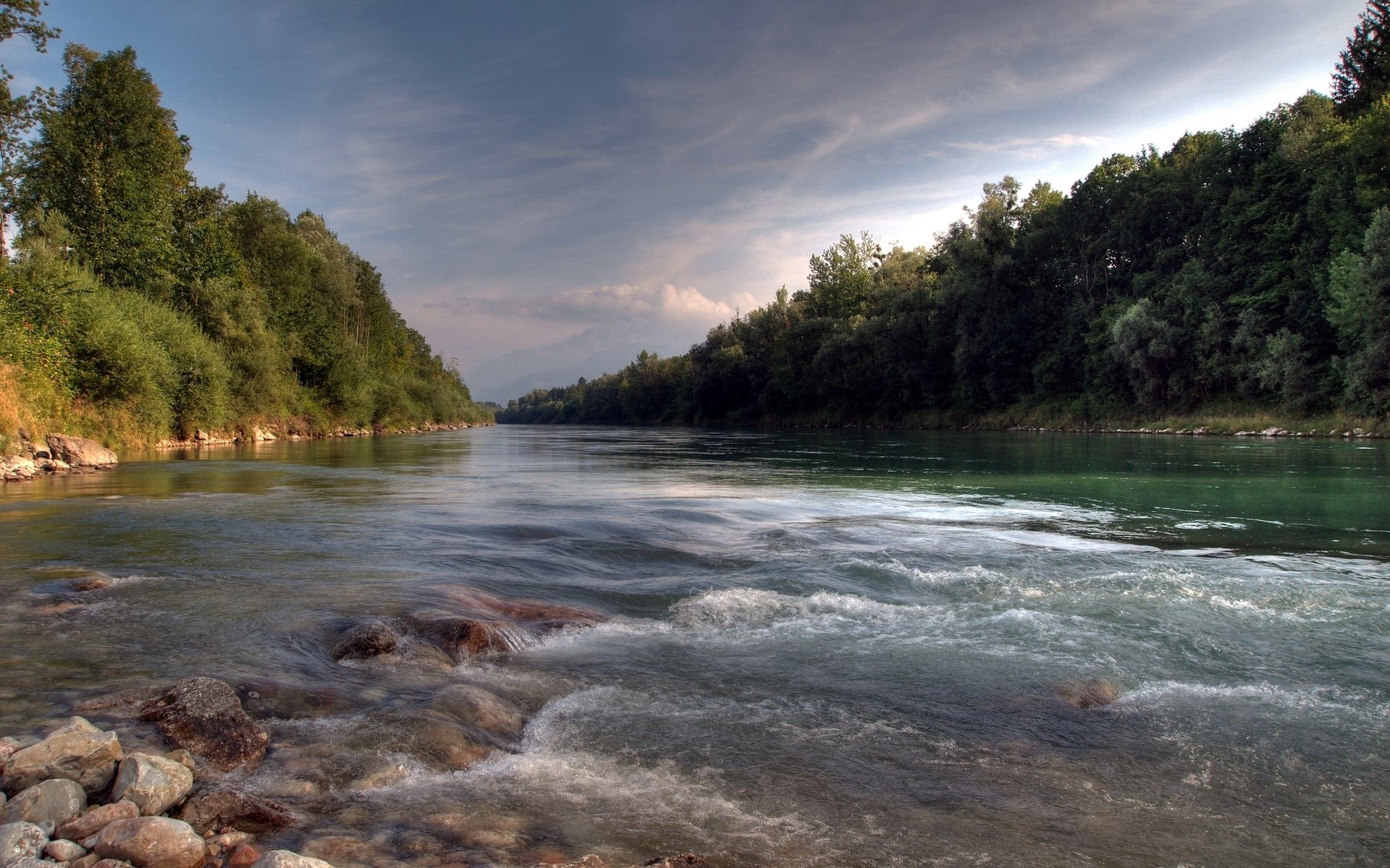 River flowing through a forest with rocky shore HD Wallpaper