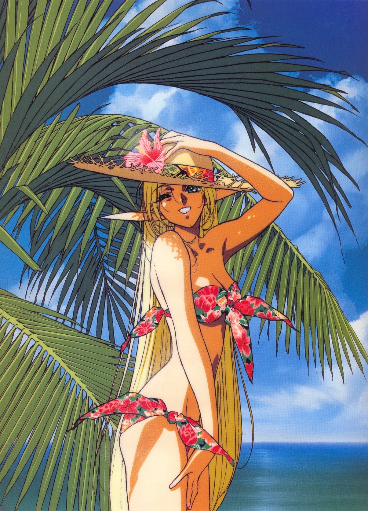 Deedlit from Record of Lodoss War in a bikini HD Wallpaper