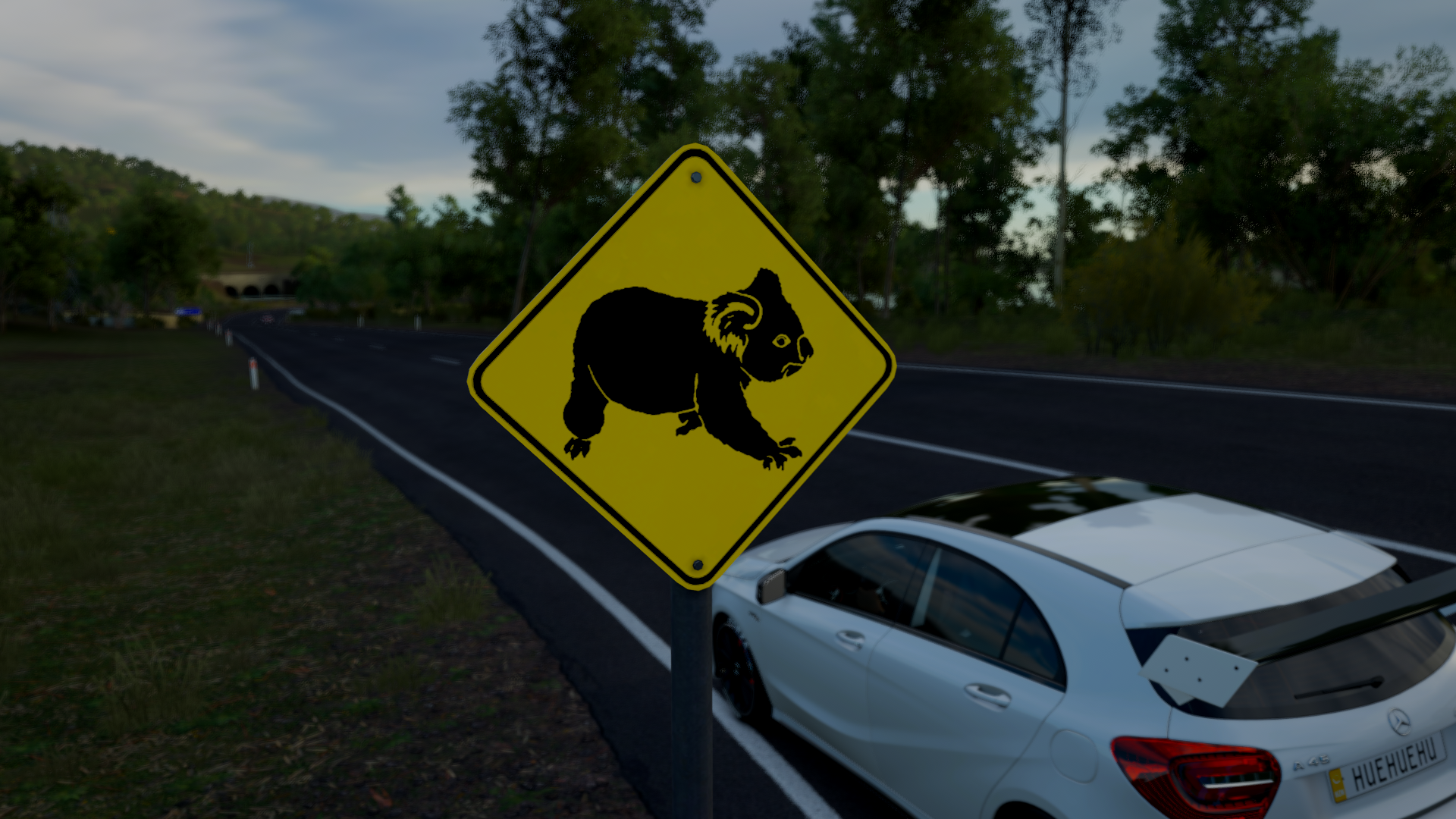 Koala crossing sign and Mercedes-Benz A45 AMG HD Wallpaper