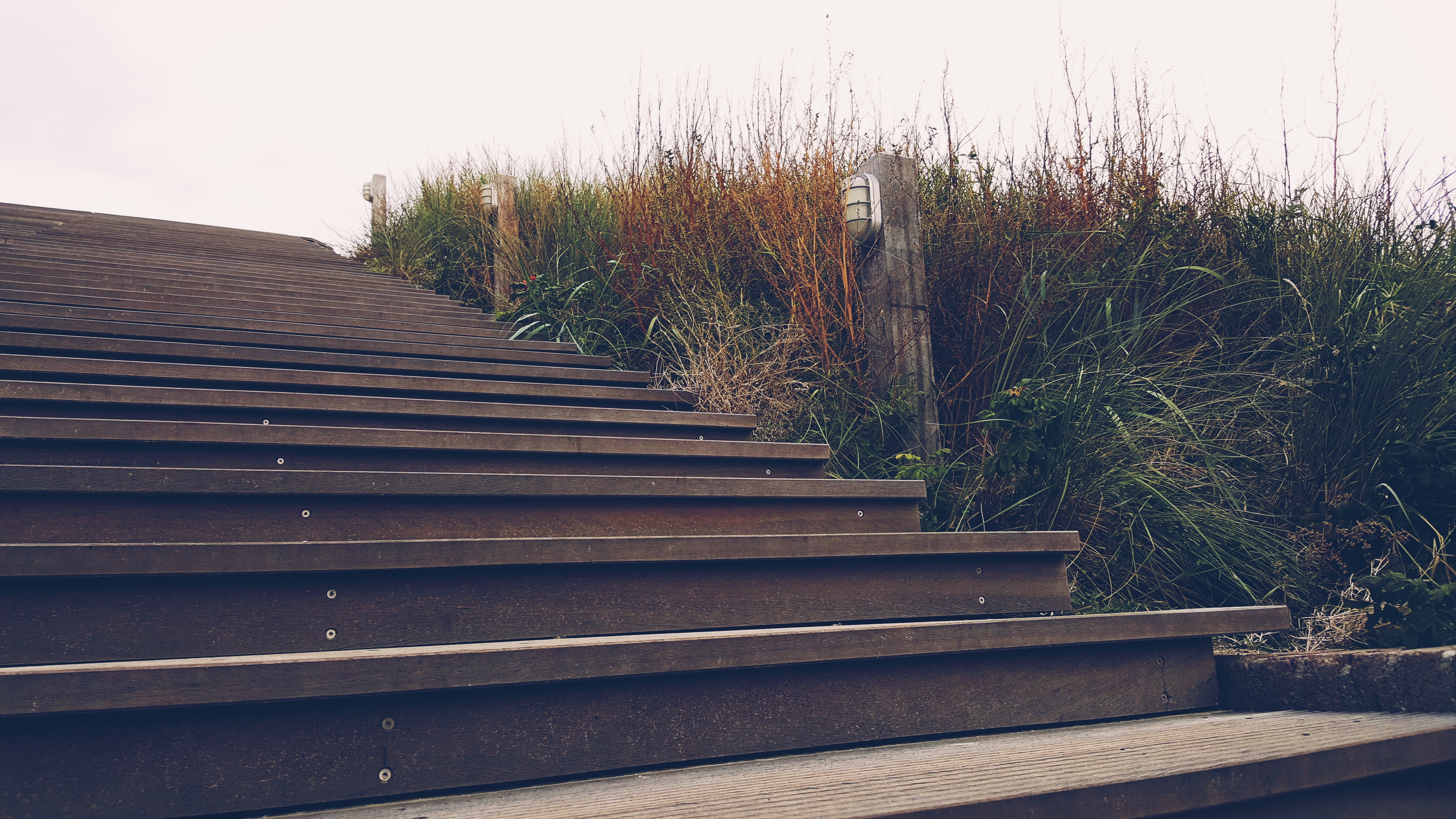 Wooden stairs with outdoor lighting and tall grass HD Wallpaper