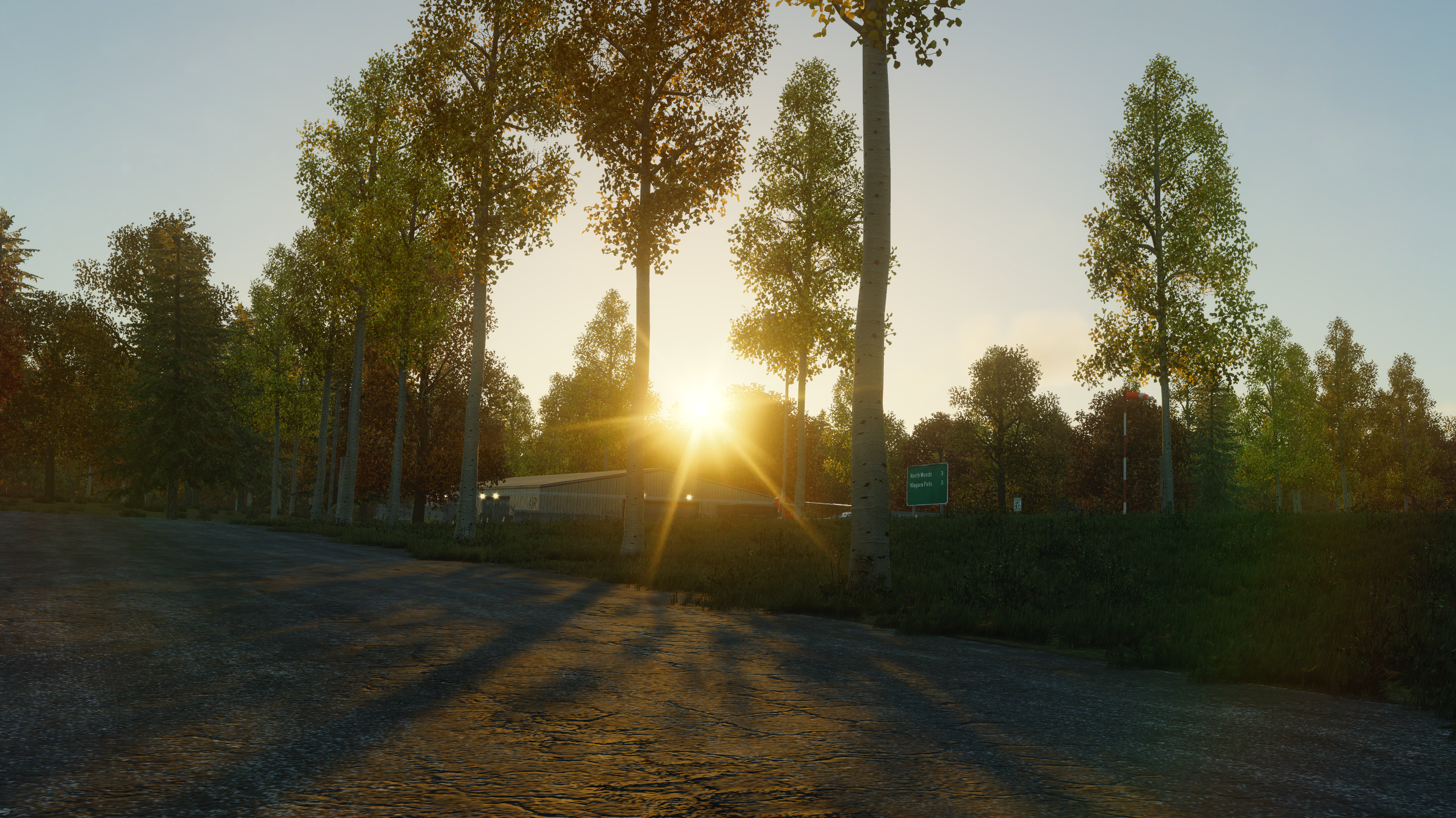 Sunset over a rural road with trees HD Wallpaper