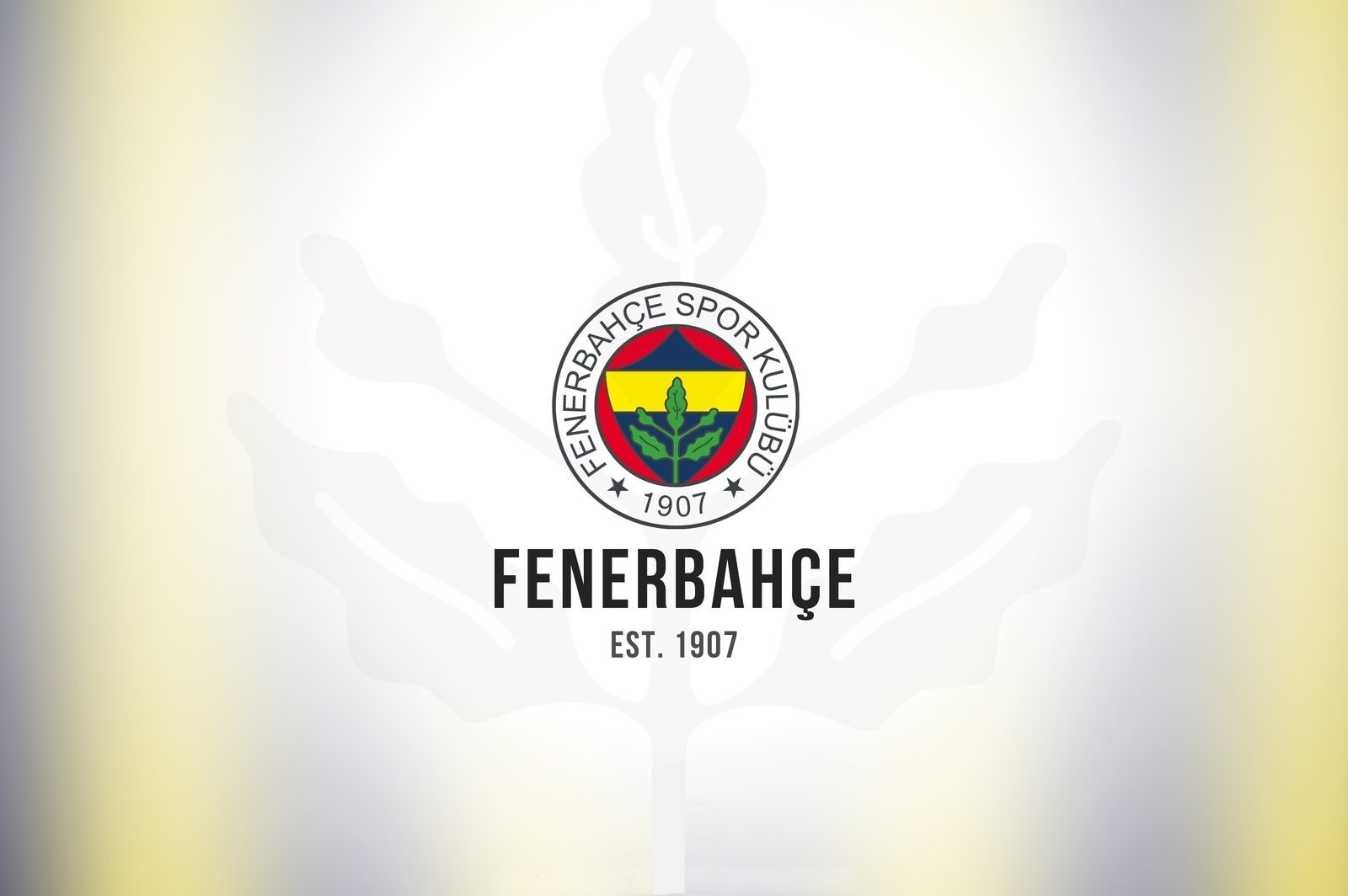 Fenerbahçe Sports Club Logo and Name HD Wallpaper