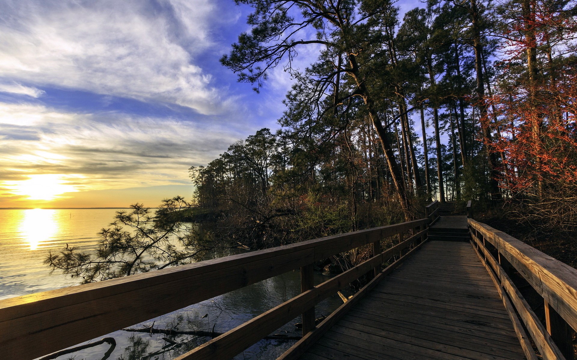 Wooden boardwalk along a lake at sunset HD Wallpaper