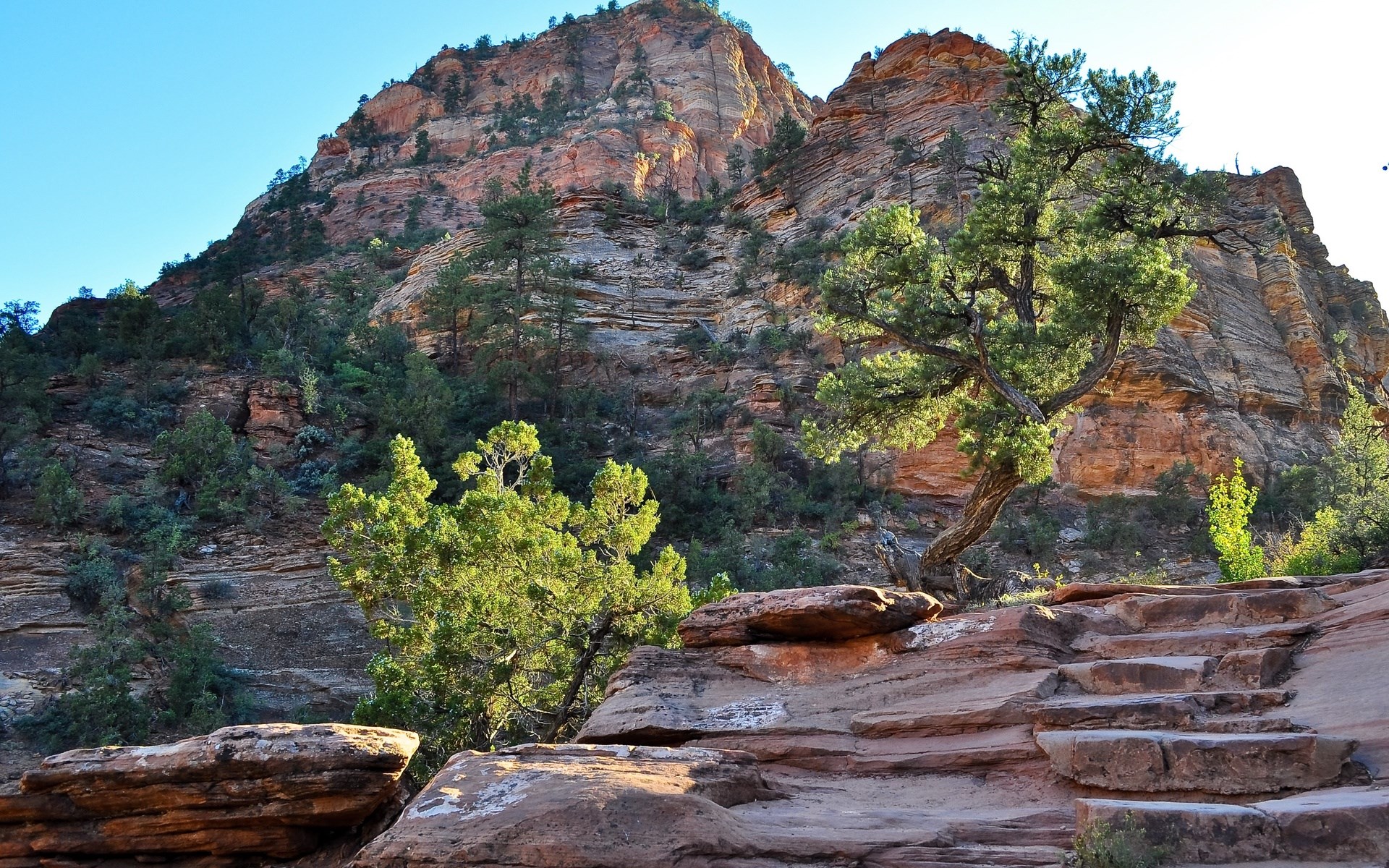 Rocky mountain landscape with trees and stone steps HD Wallpaper