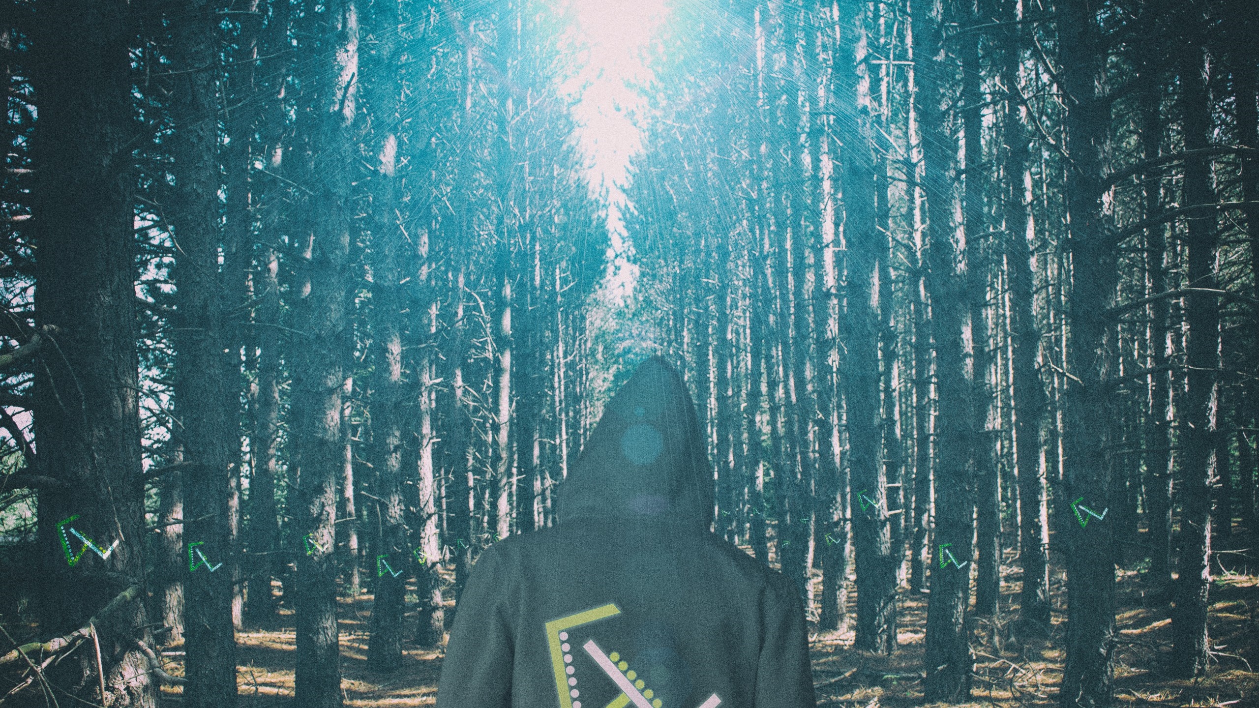 Person in a hooded jacket in a sunlit forest HD Wallpaper