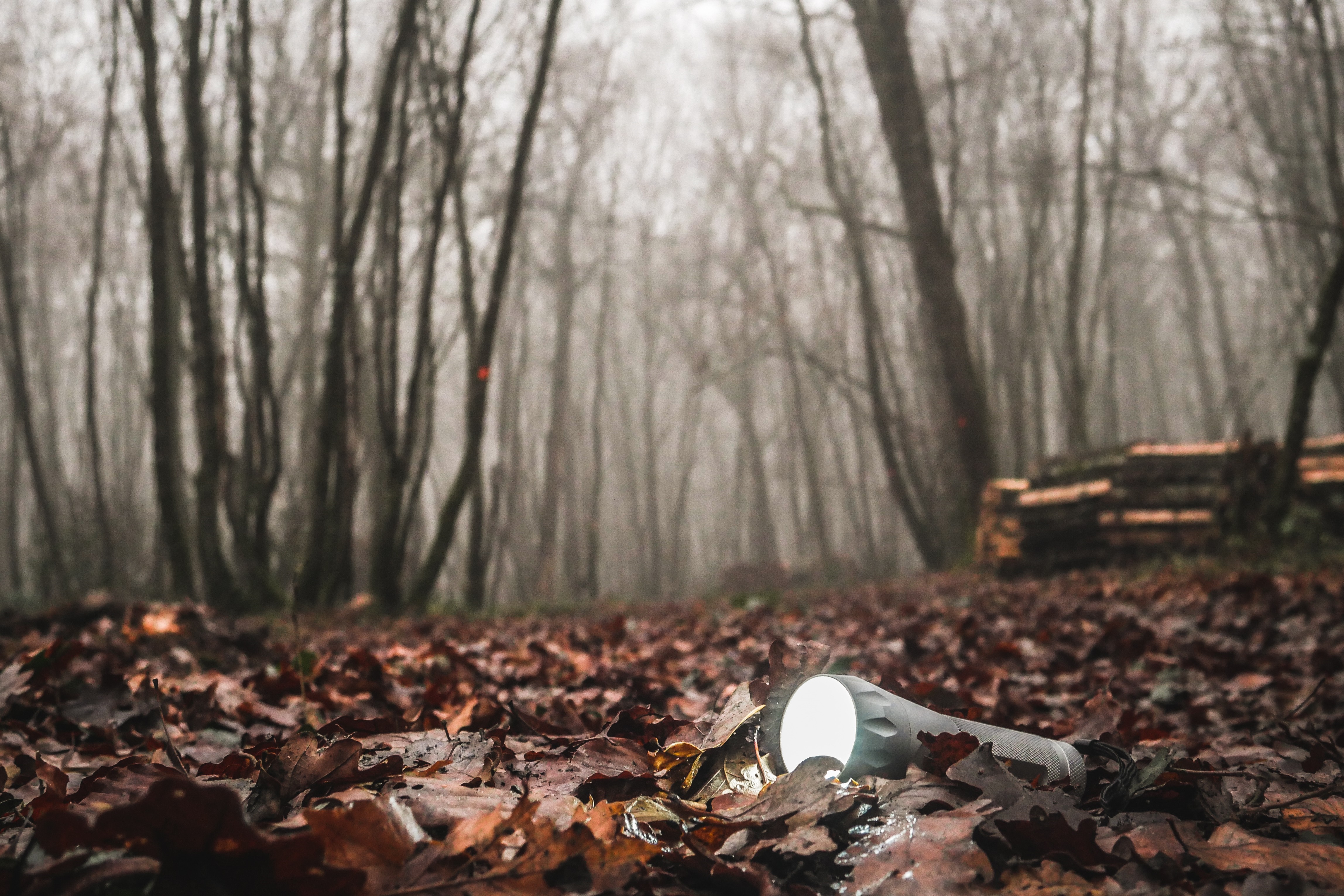 Flashlight lying on fallen leaves in a misty forest HD Wallpaper