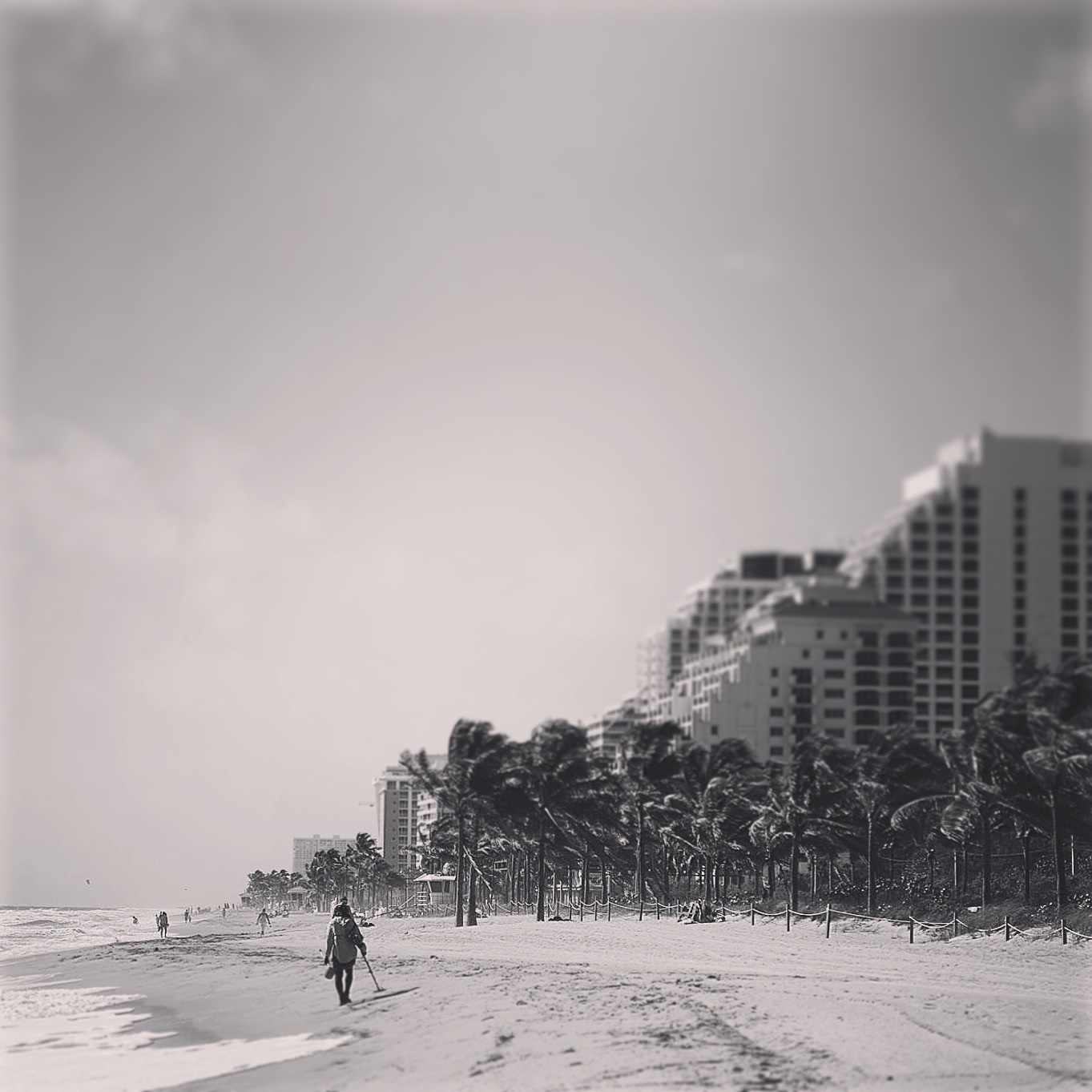 Beach with buildings and palm trees HD Wallpaper