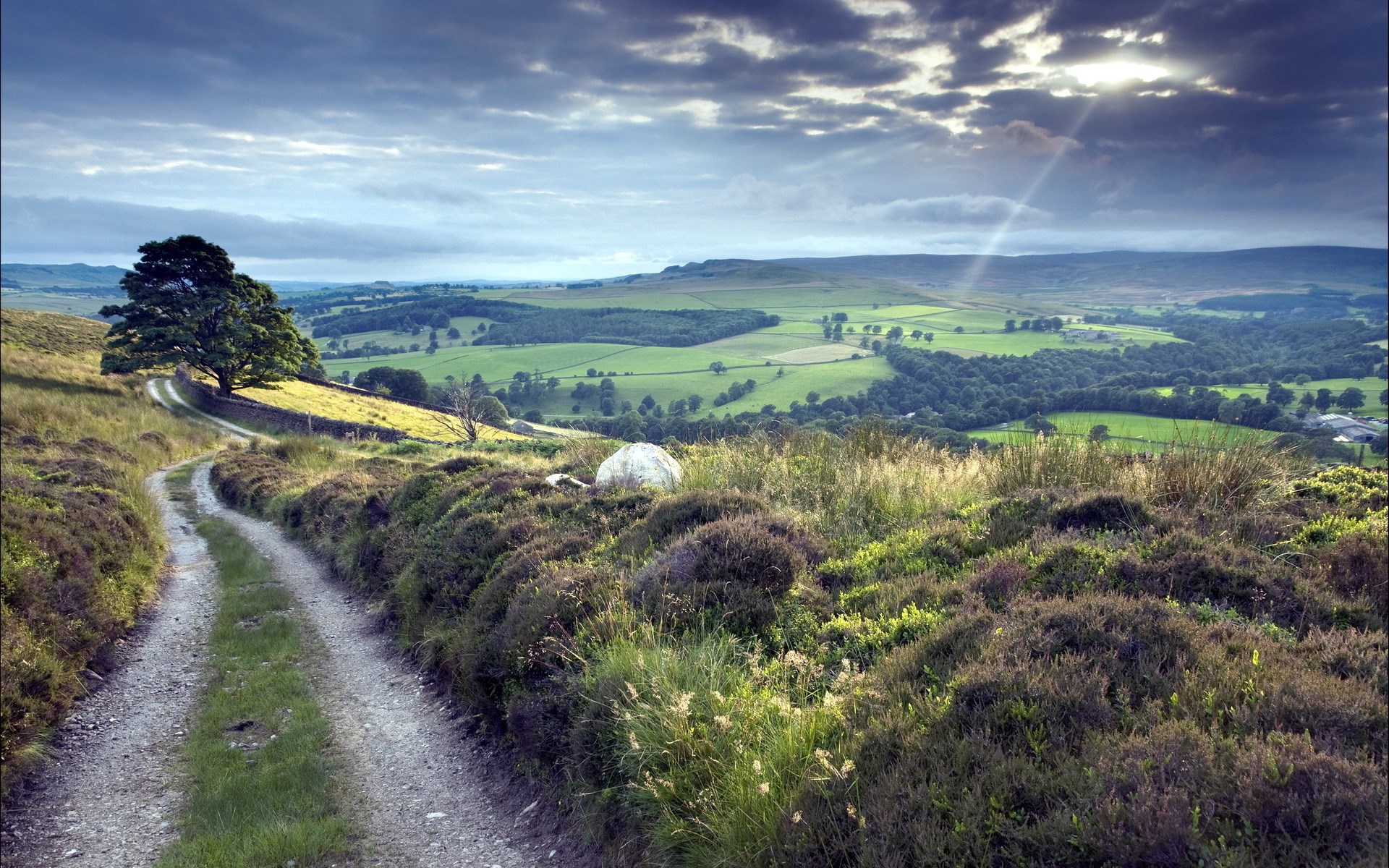 Dirt path leading through heather-covered hills to a valley HD Wallpaper