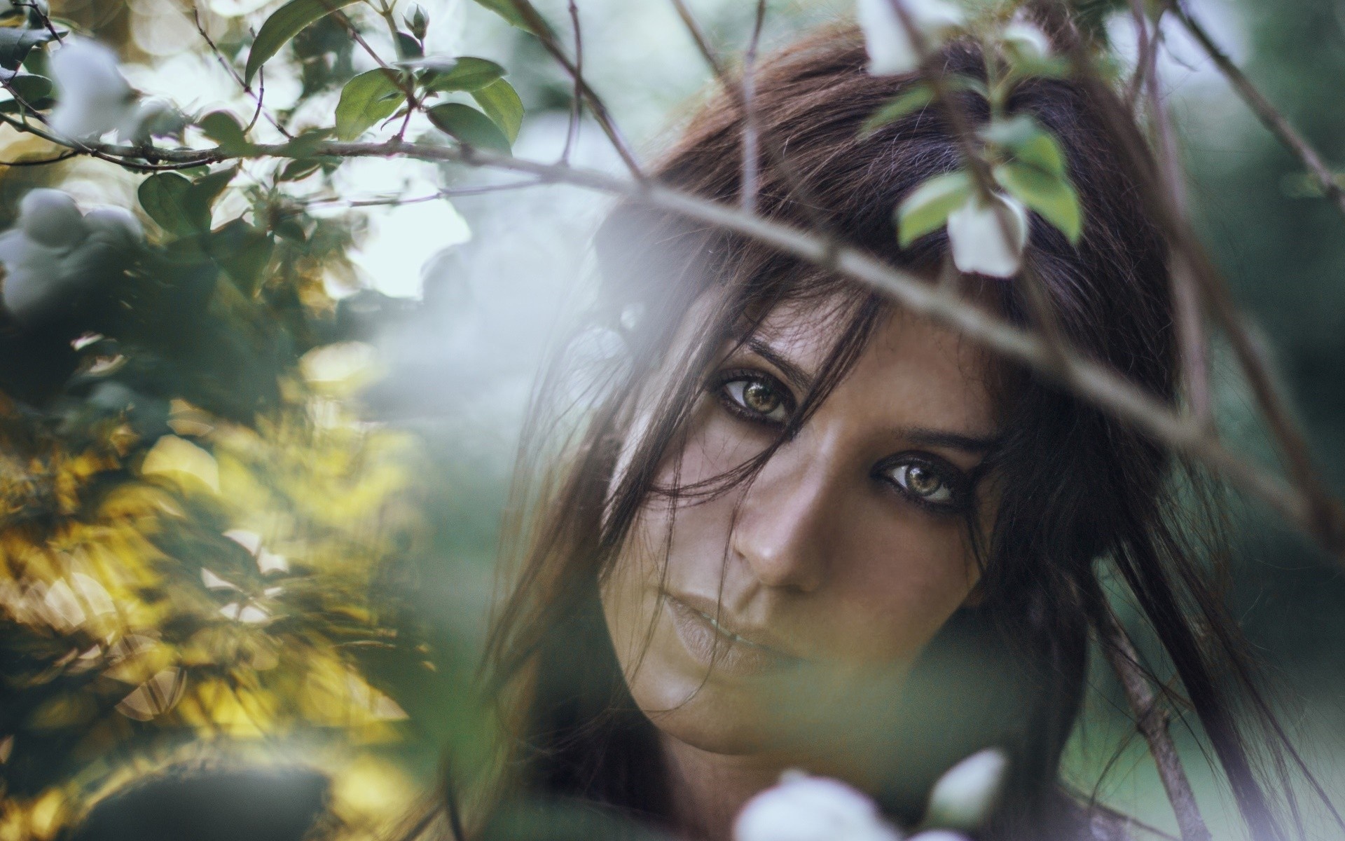 Woman with green eyes peeking through branches HD Wallpaper