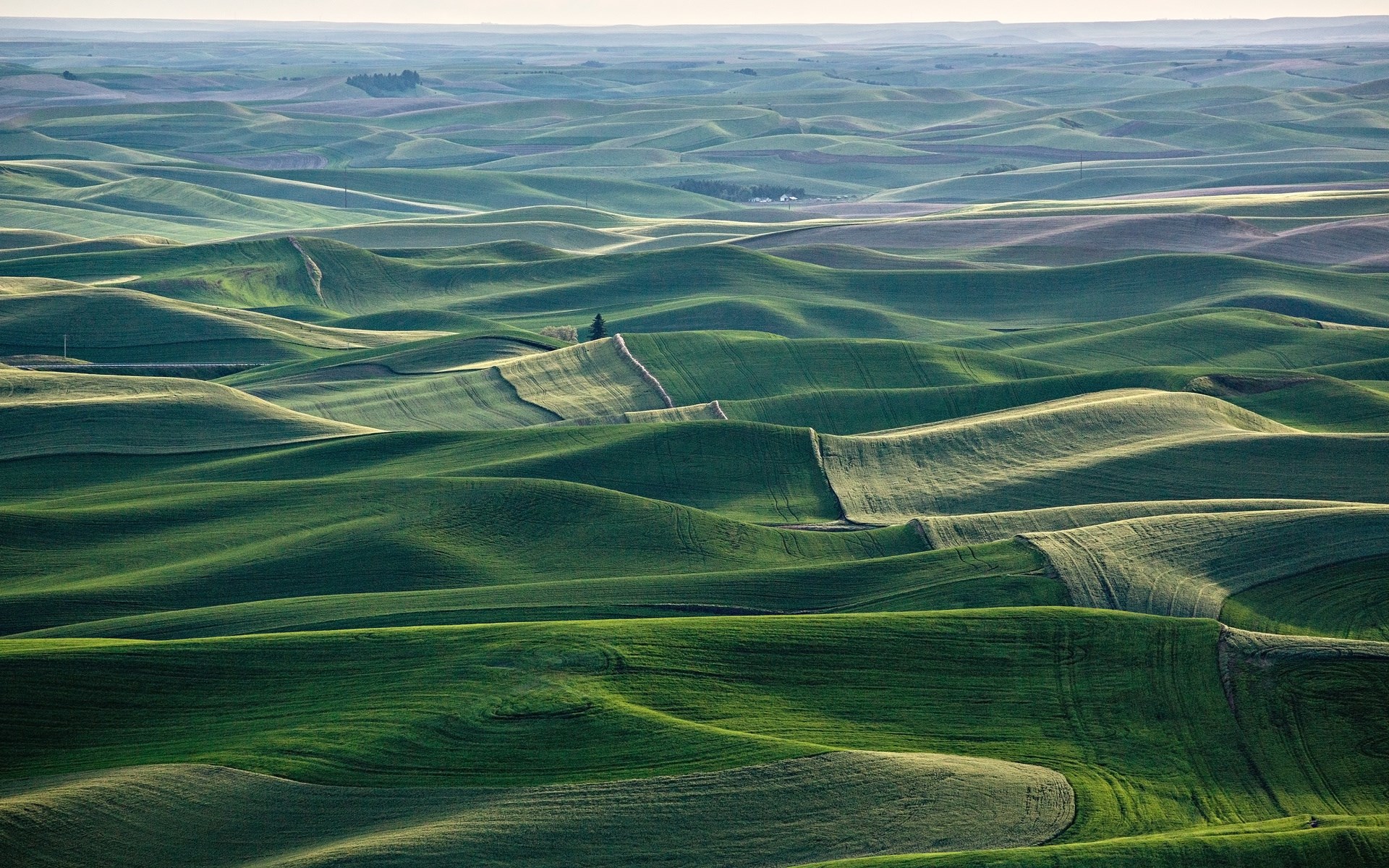 Rolling green hills under a hazy sky HD Wallpaper