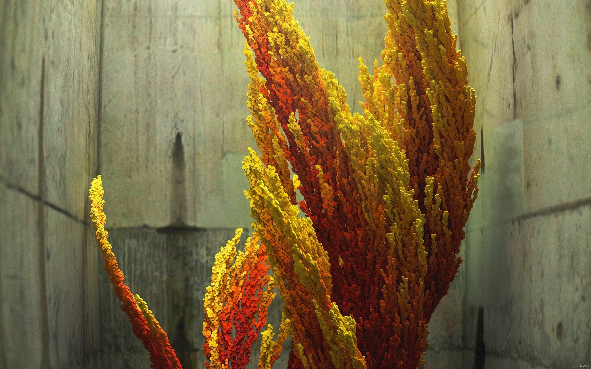 Abstract plant with yellow and orange colors against concrete wall HD Wallpaper