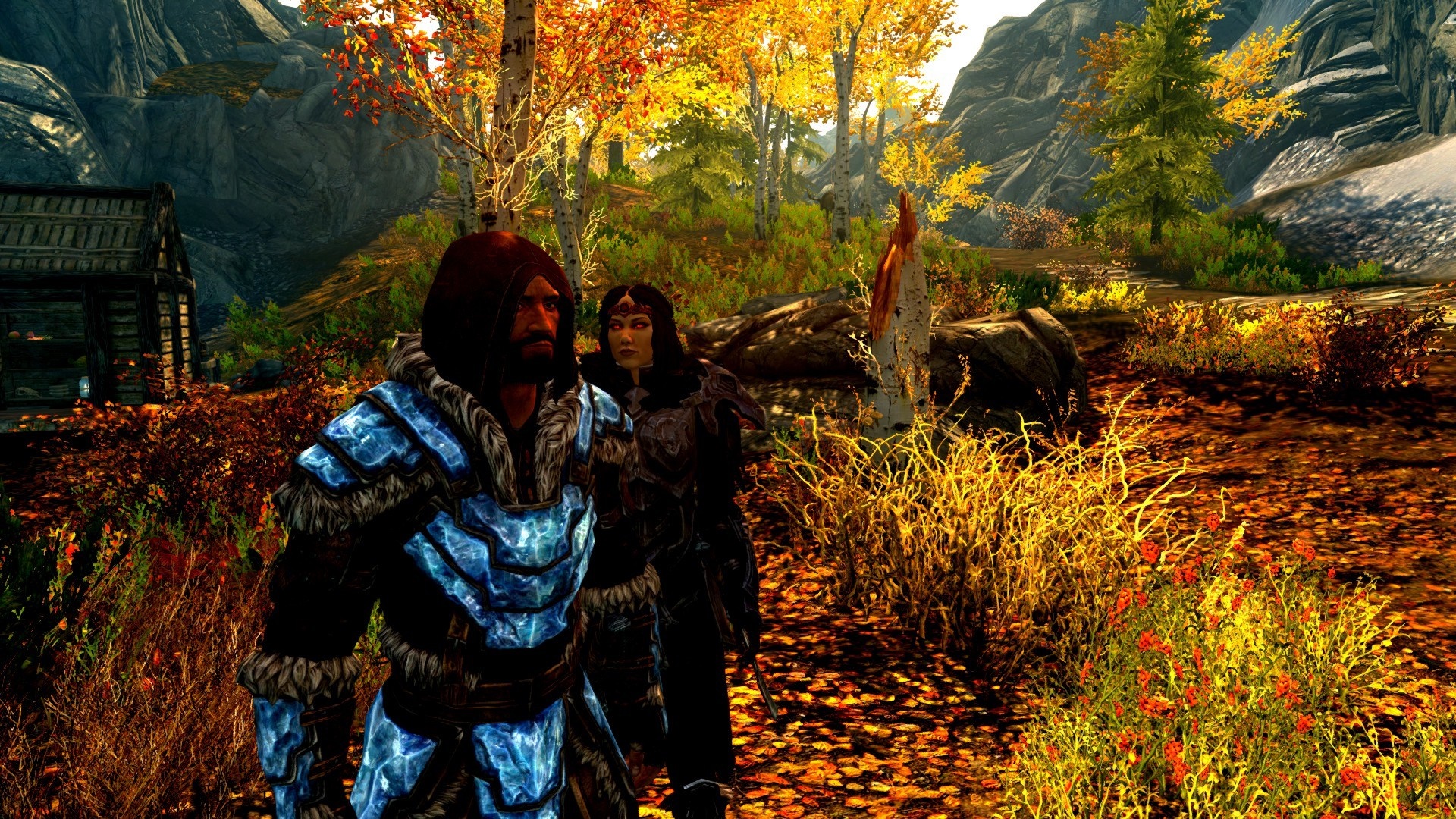 Two characters in The Elder Scrolls V: Skyrim during autumn HD Wallpaper