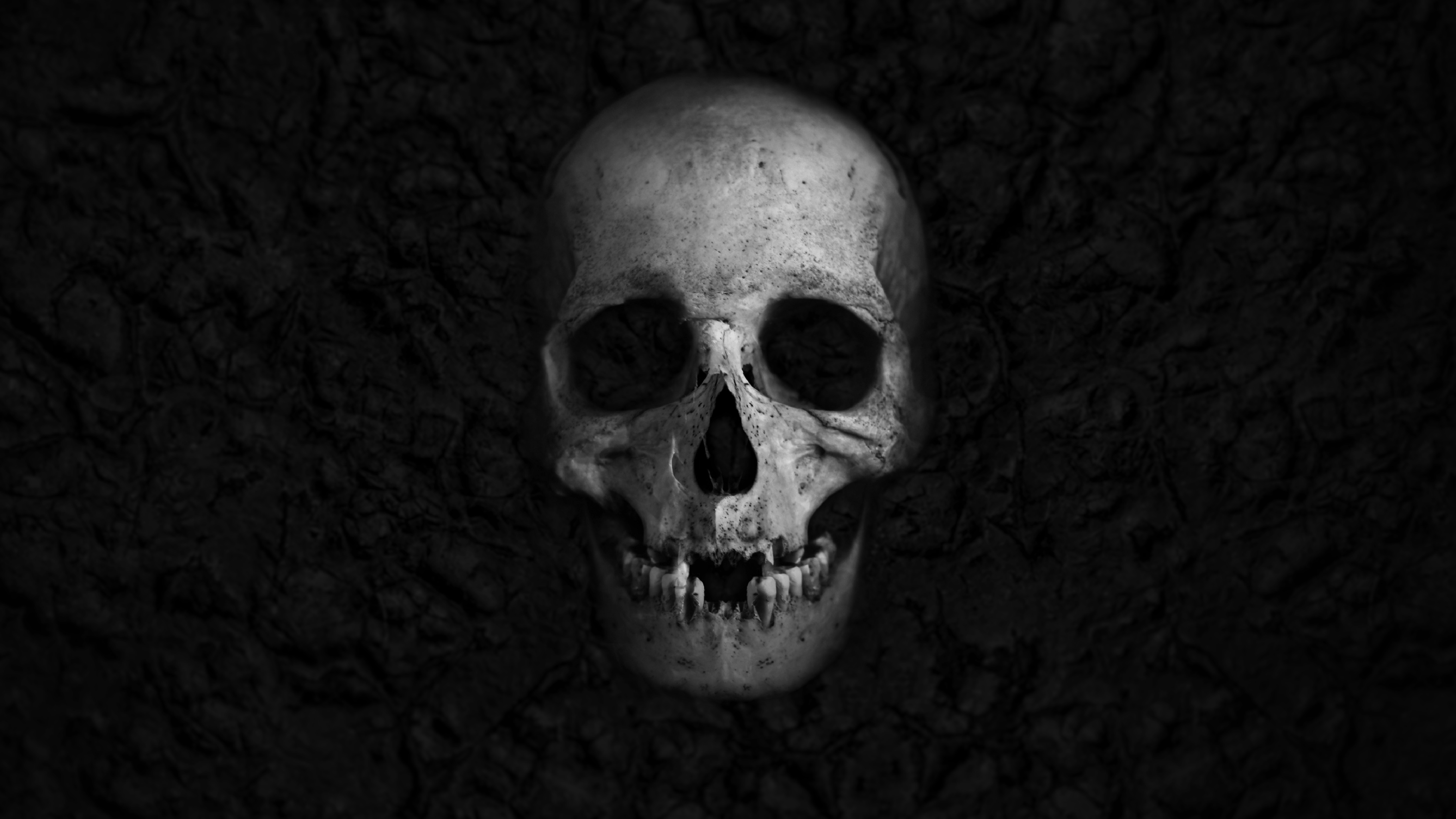Monochrome skull on a dark textured background HD Wallpaper