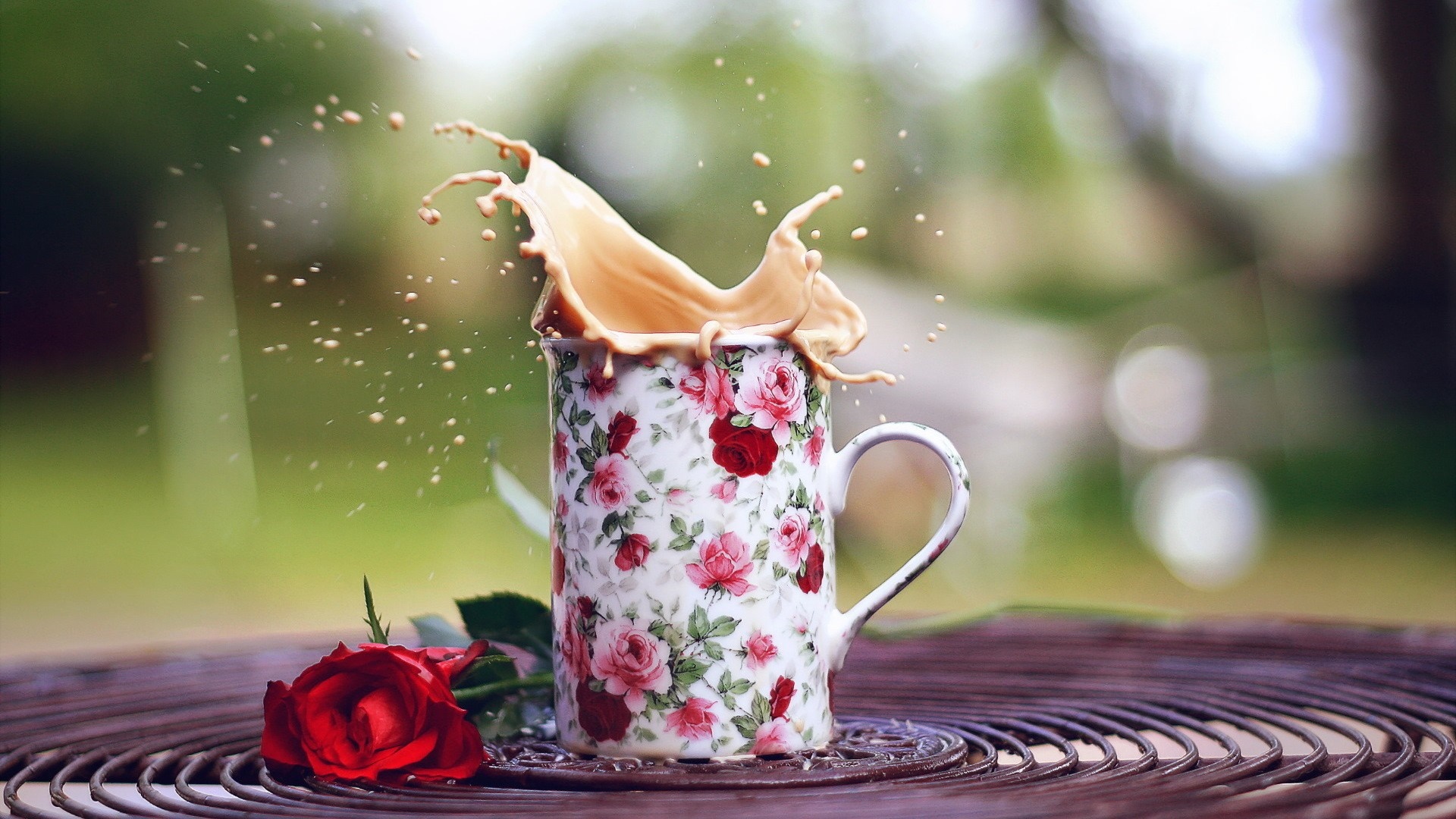 Coffee splash in a floral mug with a red rose HD Wallpaper