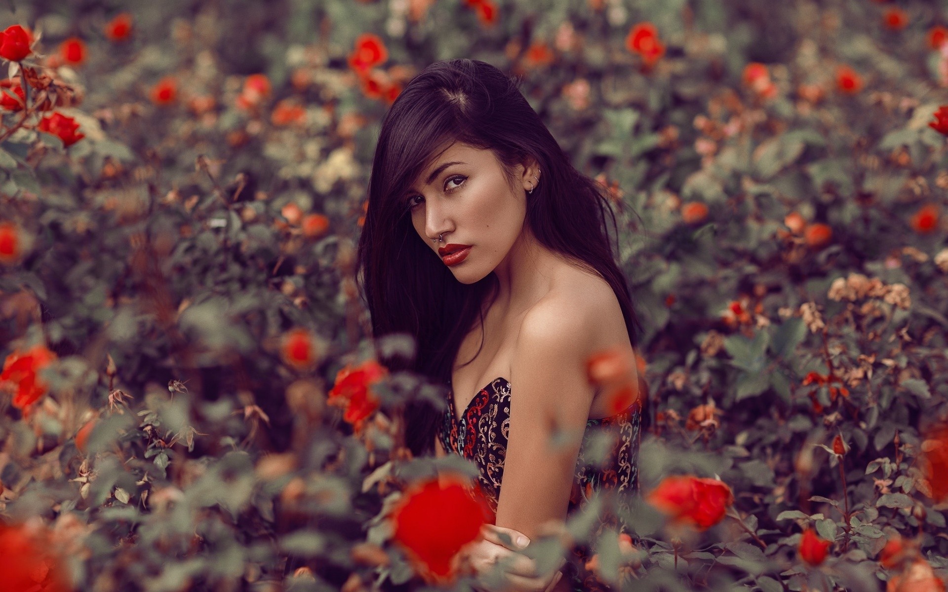 Woman posing in a field of red flowers HD Wallpaper