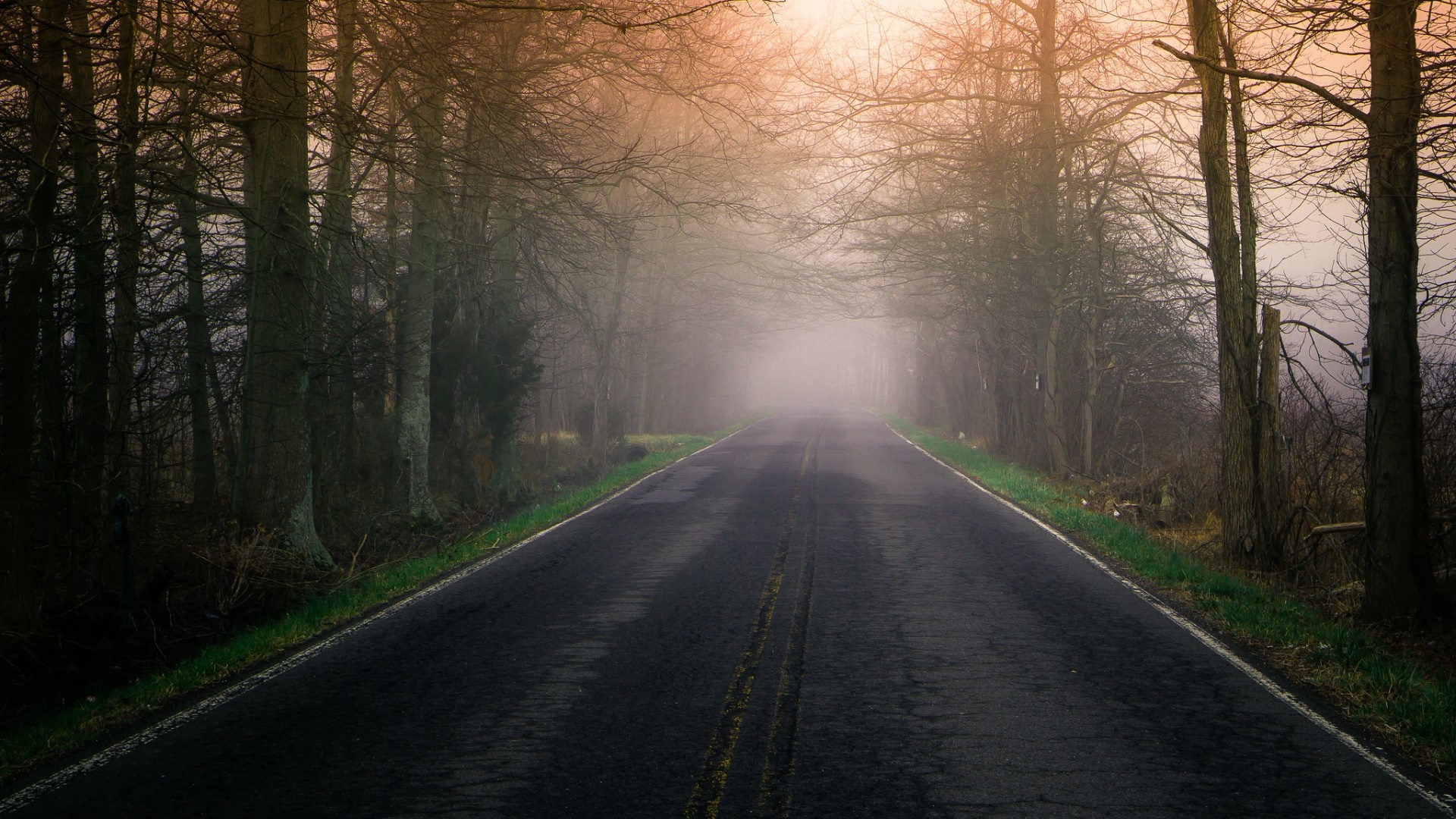 Road through a misty forest in autumn HD Wallpaper