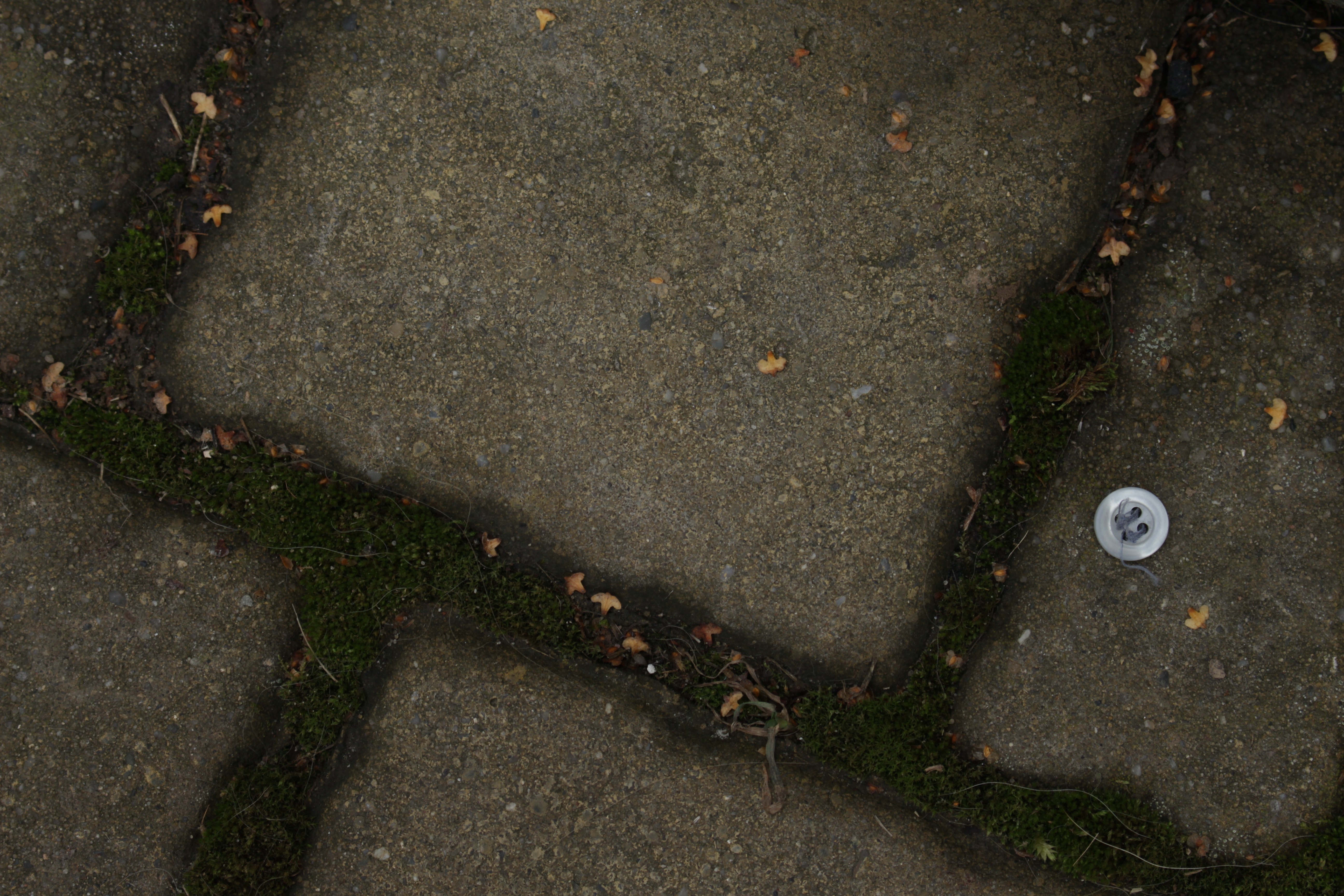 Cracked concrete with moss and a button HD Wallpaper