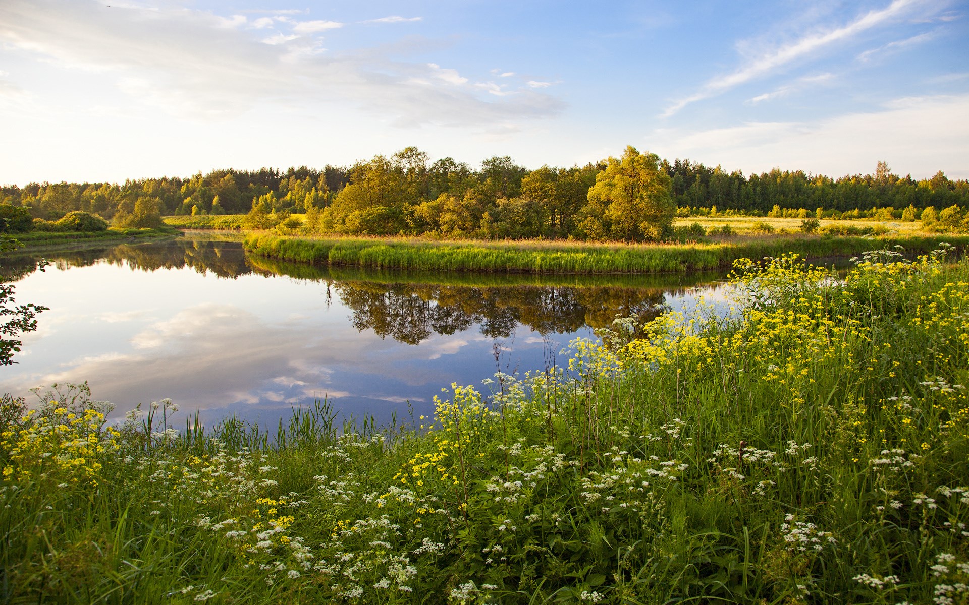 River landscape with trees and flowers HD Wallpaper