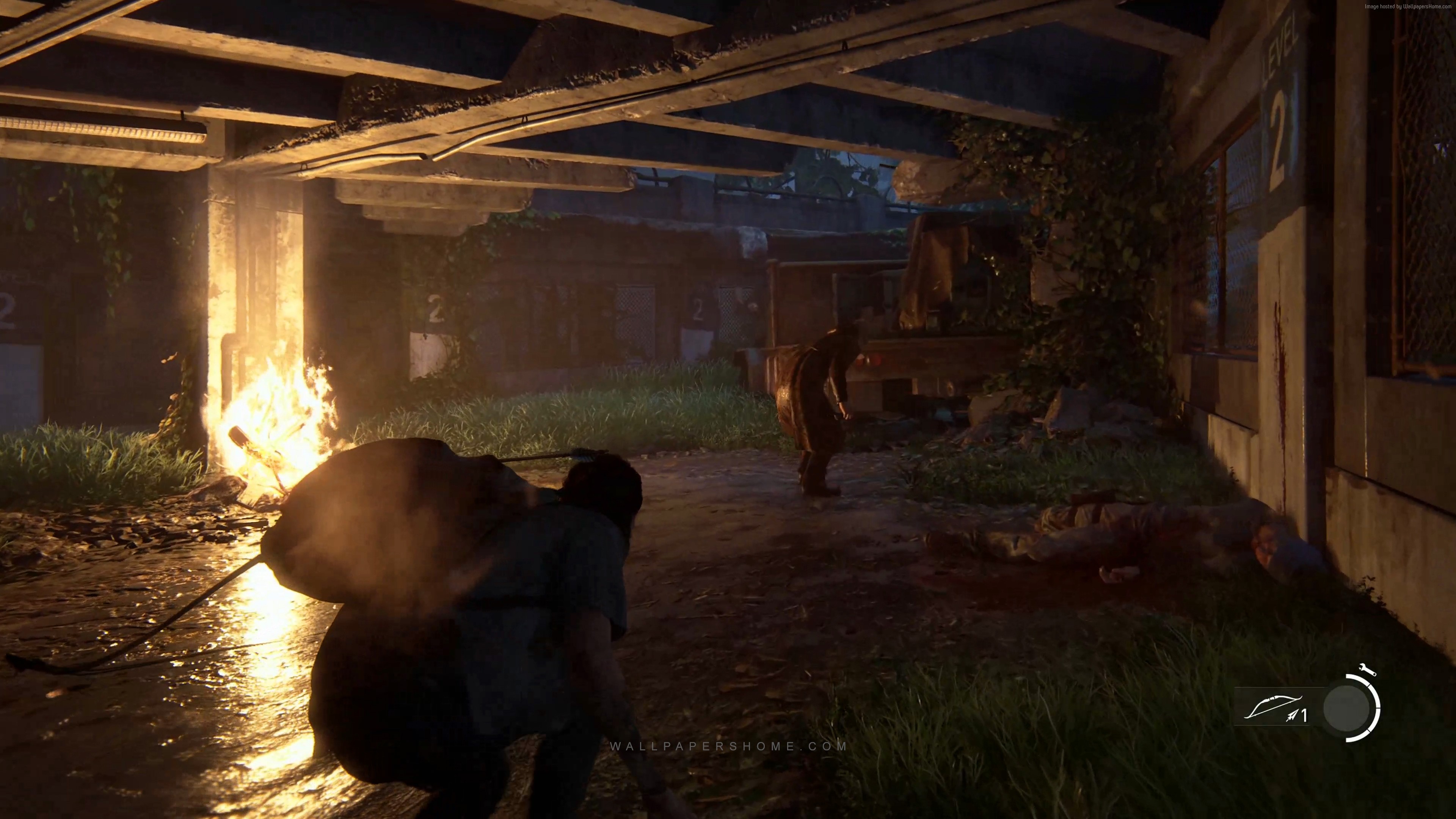 The Last of Us Part II screenshot HD Wallpaper