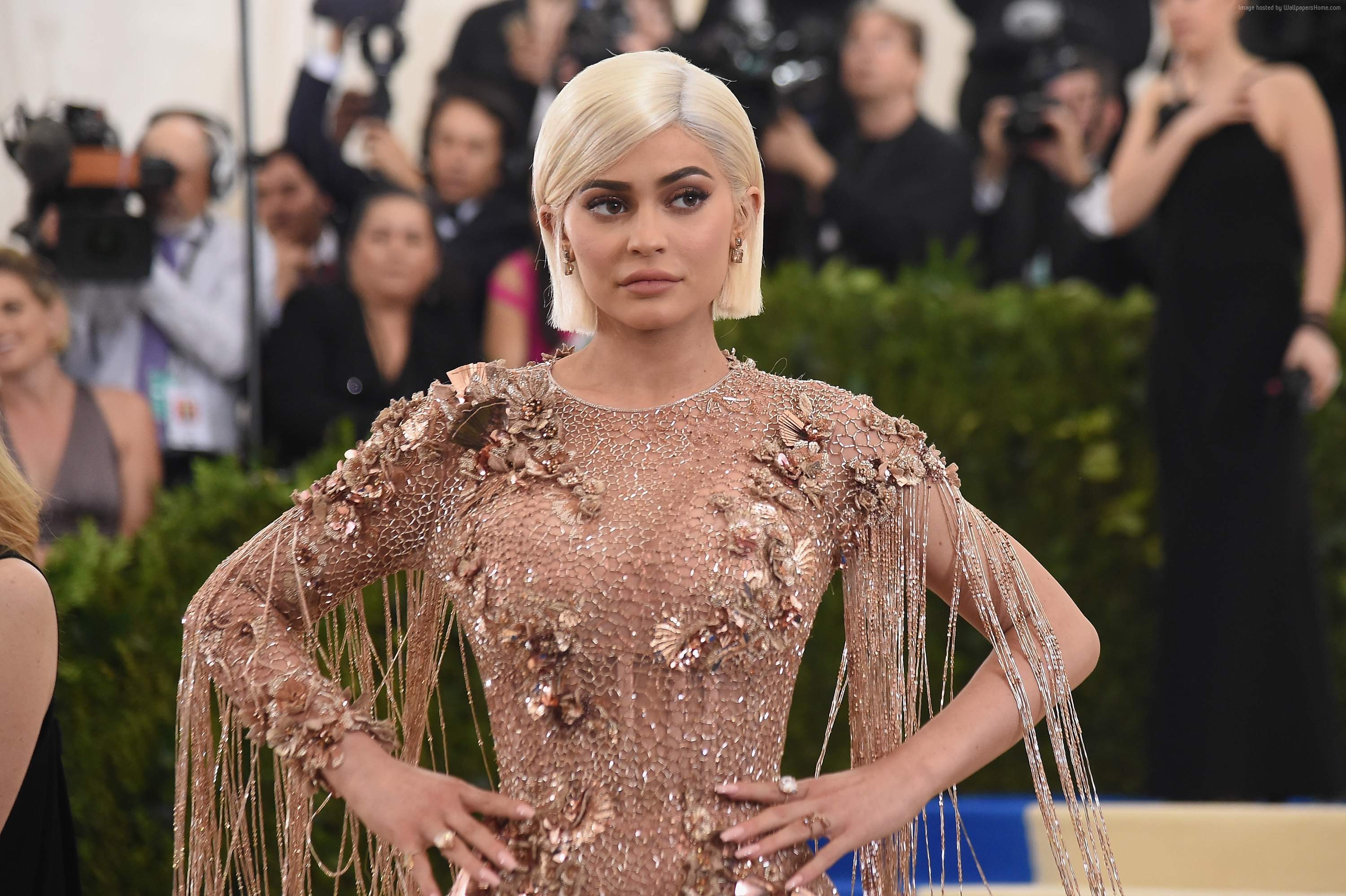 Kylie Jenner at the Met Gala HD Wallpaper