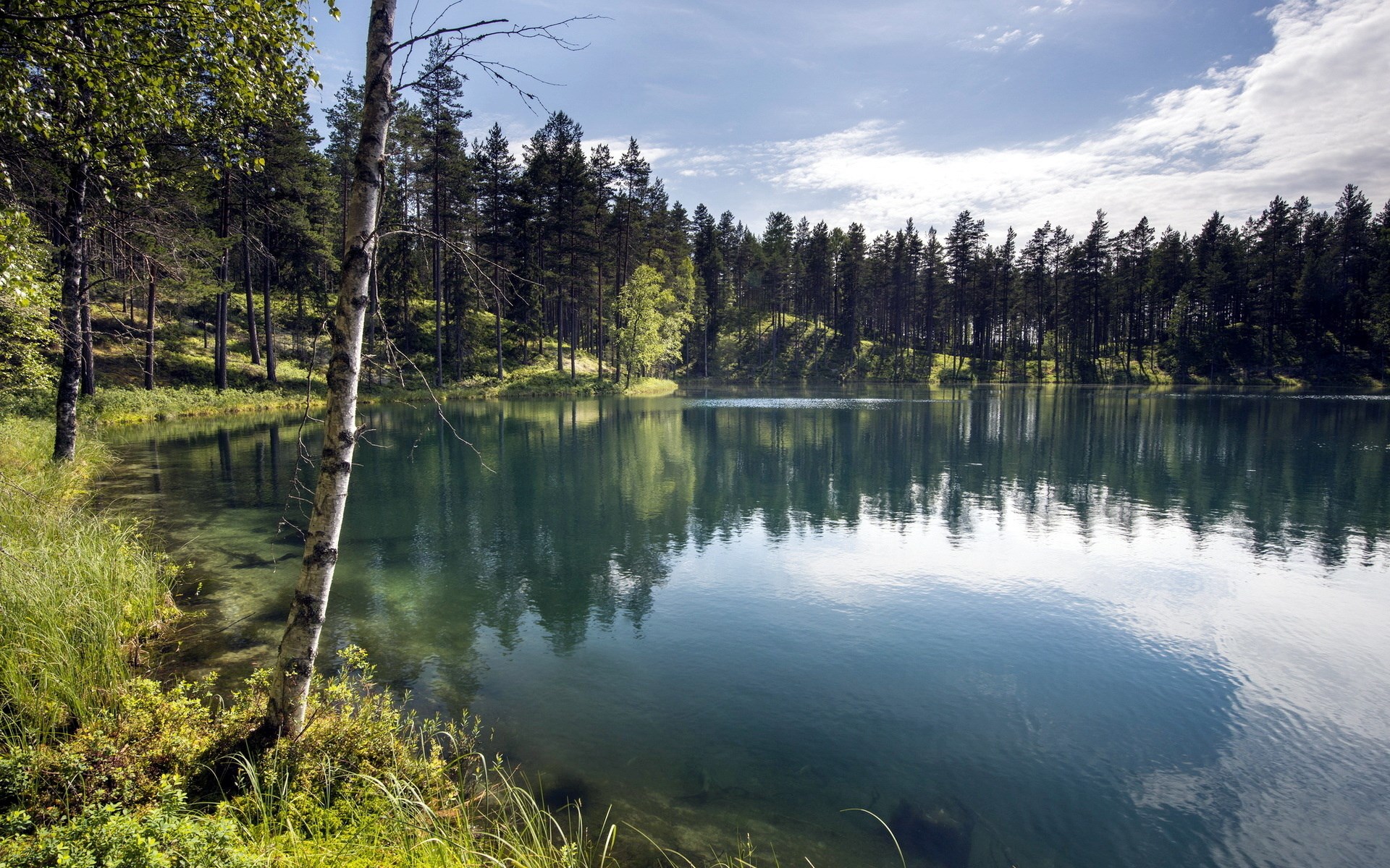 Lake and forest reflection HD Wallpaper